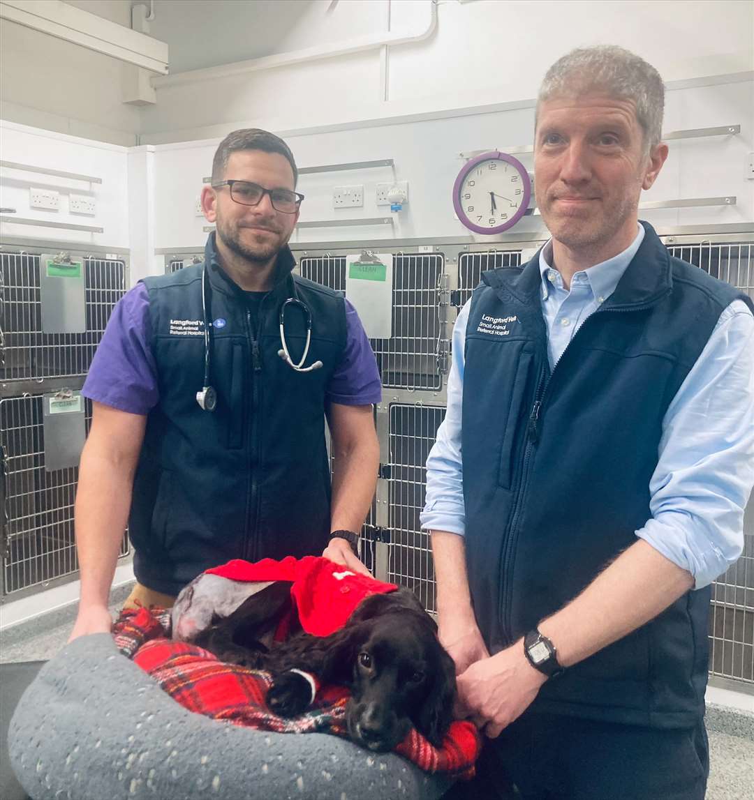 Surgeons Aaron Lutchman and Ed Friend helped in Ariel’s treatment (Langford Vets Small Animal Referral Hospital/University of Bristol/PA)