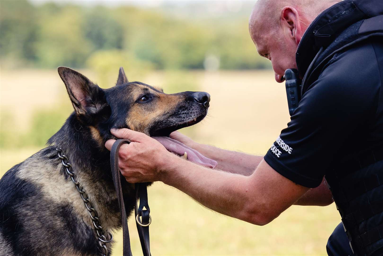 PC Ian Sweeney with his German Shepherd RPD (Retired Police Dog) Logan (Thin Blue Paw Foundation/PA)