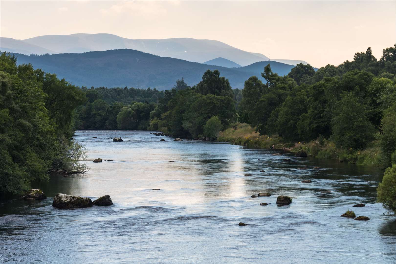 The Working with Rivers Placement Scheme is run by NatureScot, Fisheries Management Scotland (FMS) and Graduate Career Advantage Scotland (GCAS).