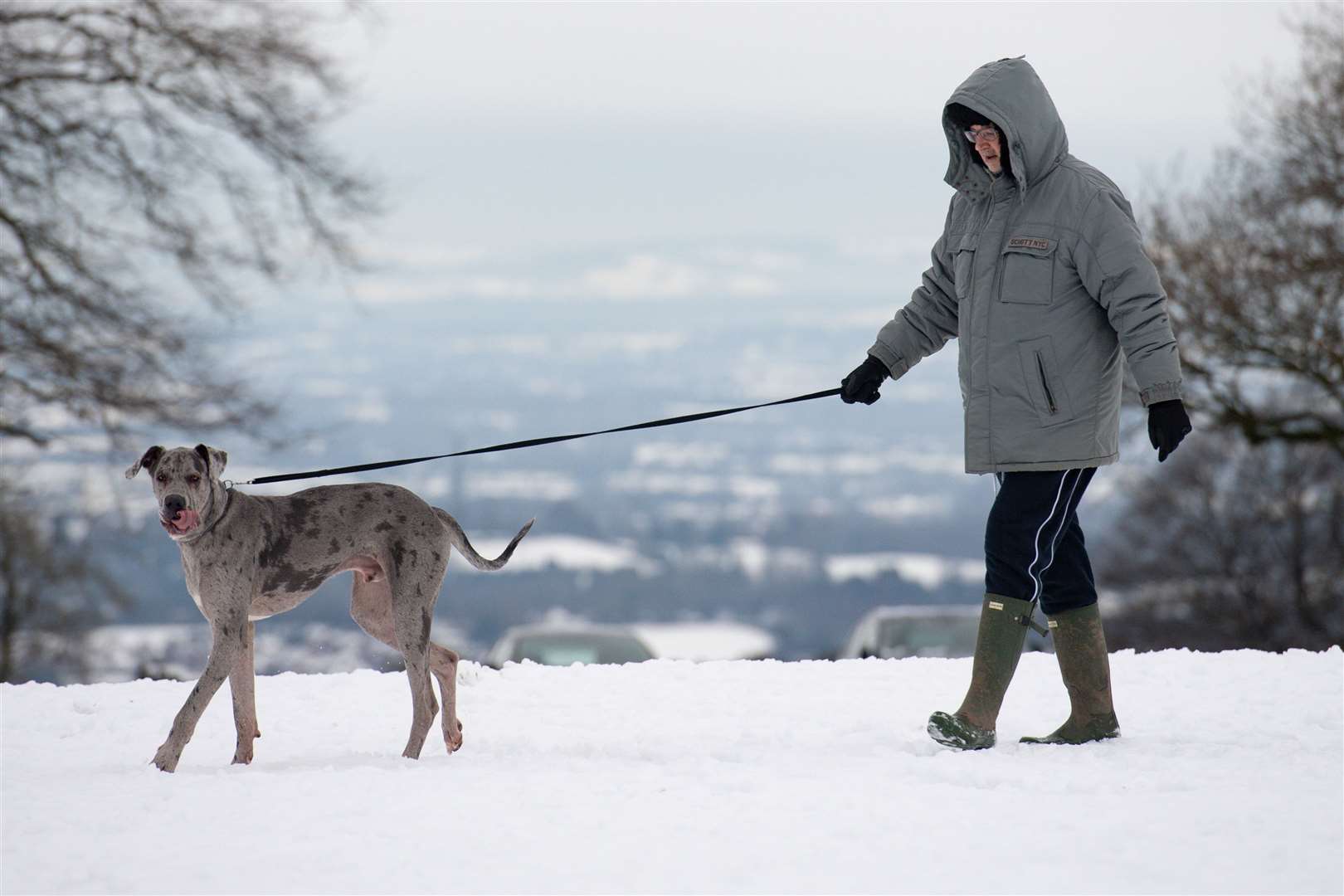 A man walks his dog in the snow-covered Lickey Hills Country Park, Birmingham (Jacob King/PA)
