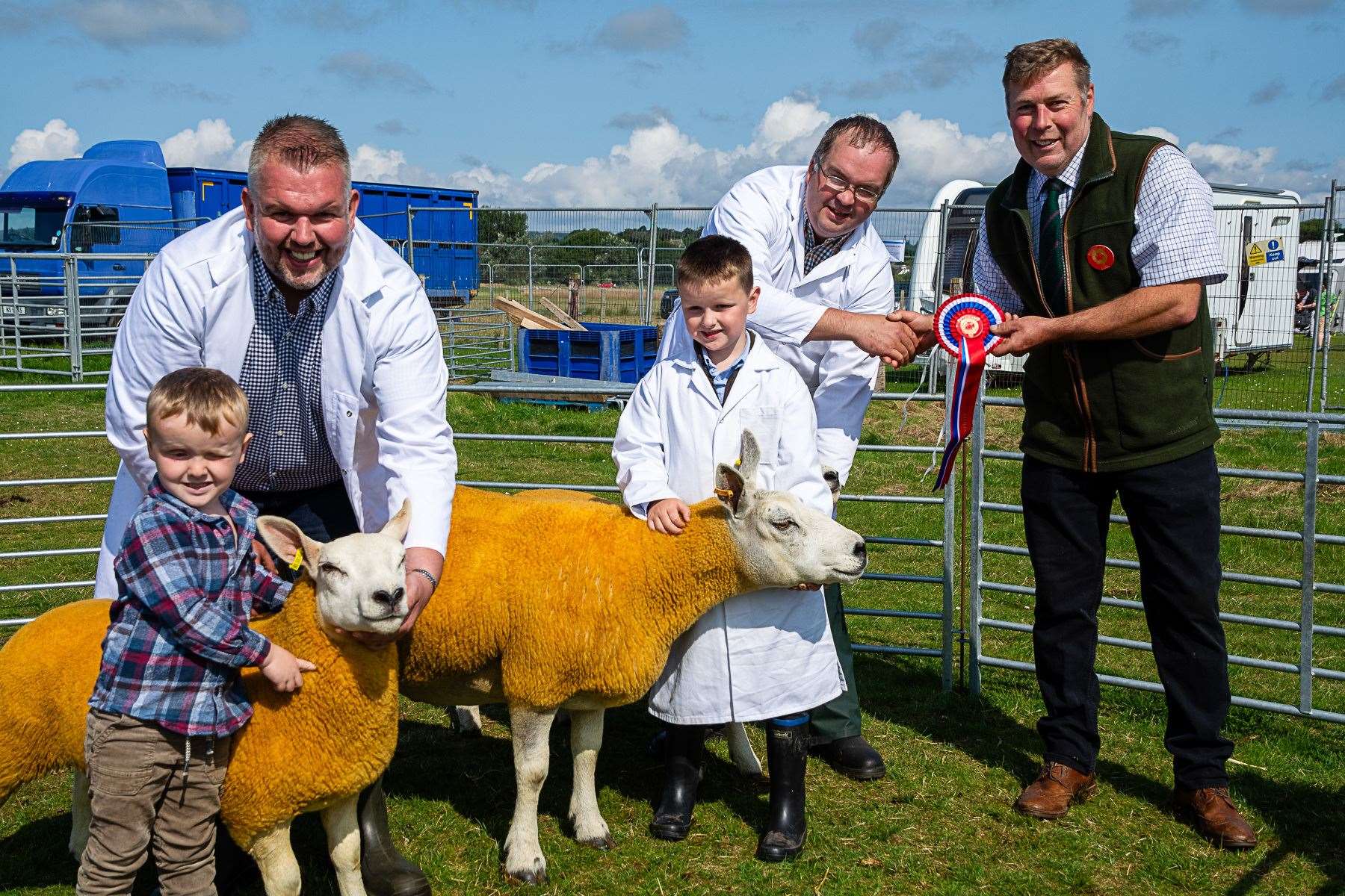 Crossbreed champion Ewe with twin lambs, winners Messrs Sutherland, Sibmister and Stainland Farms, Thurso. Photo: East Sutherland Camera Club