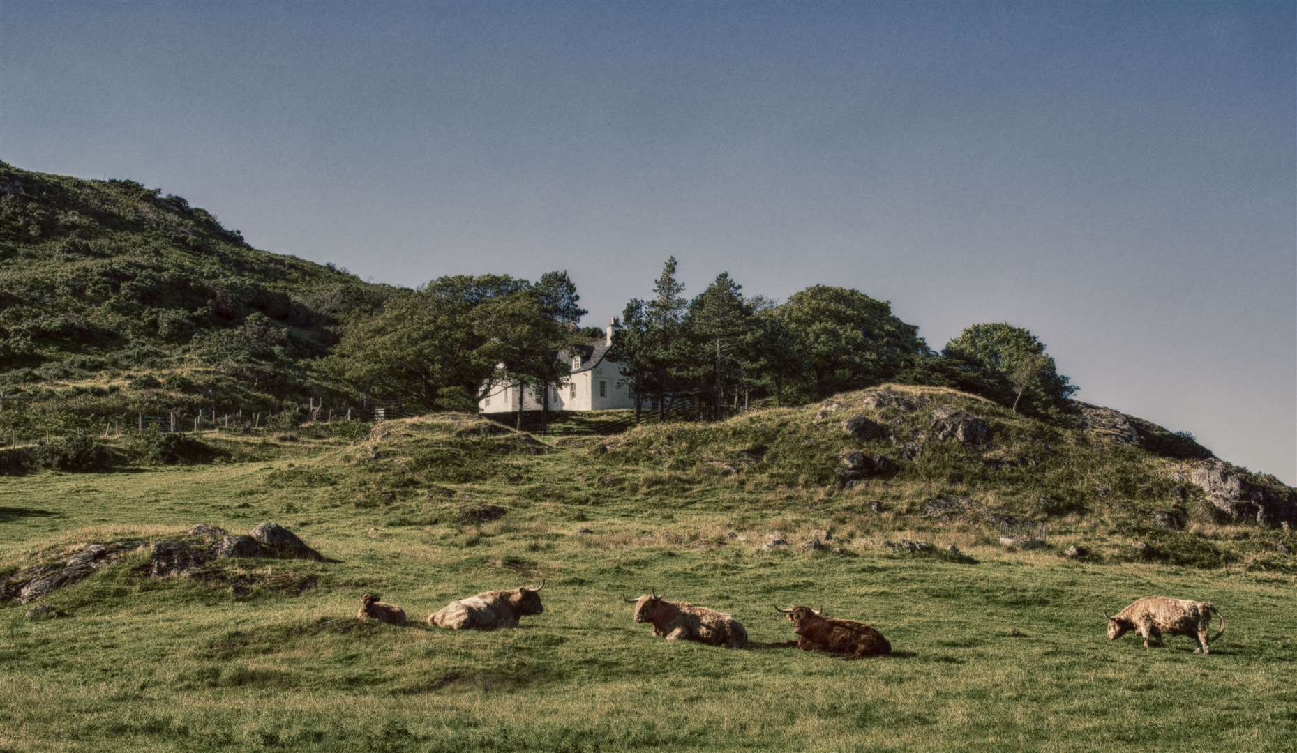 The Scottish Crofters Federation warn that the causes of rural depopulation must be addressed.