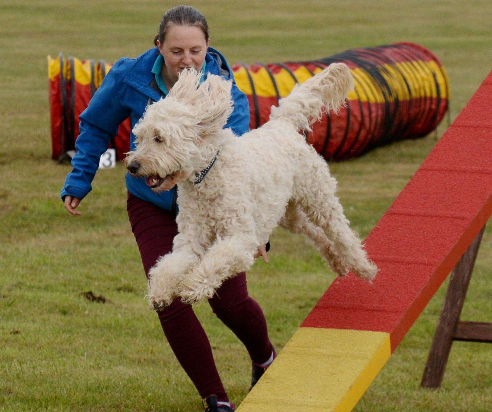 The event usually attracts crowds of up to 25,000 each year over its duration and is a mainstay of the agricultural community. Dog agility demonstrations are amongst the many attrarctions. Picture: Gary Anthony.