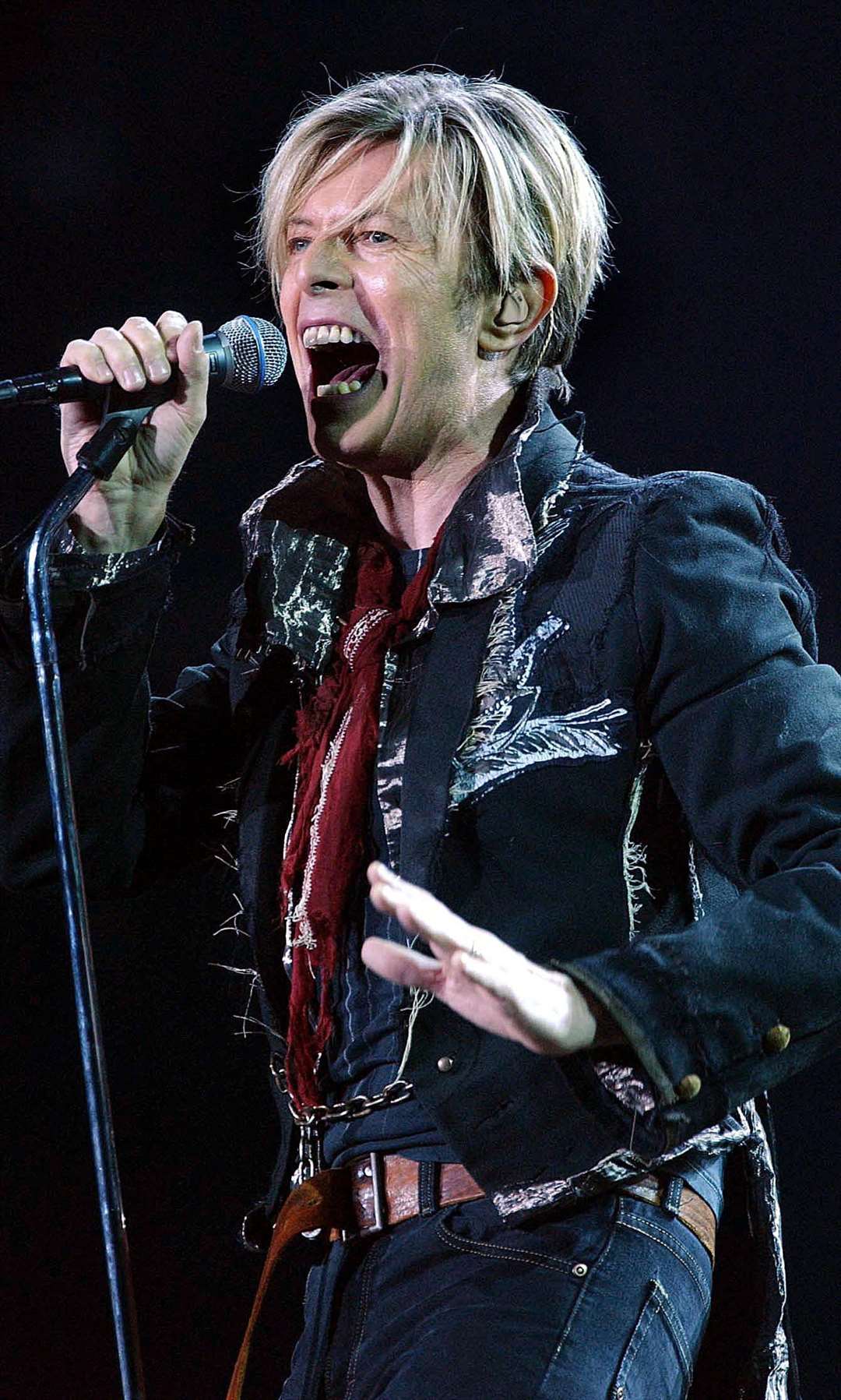 Singer David Bowie. (Andy Butterton/PA)