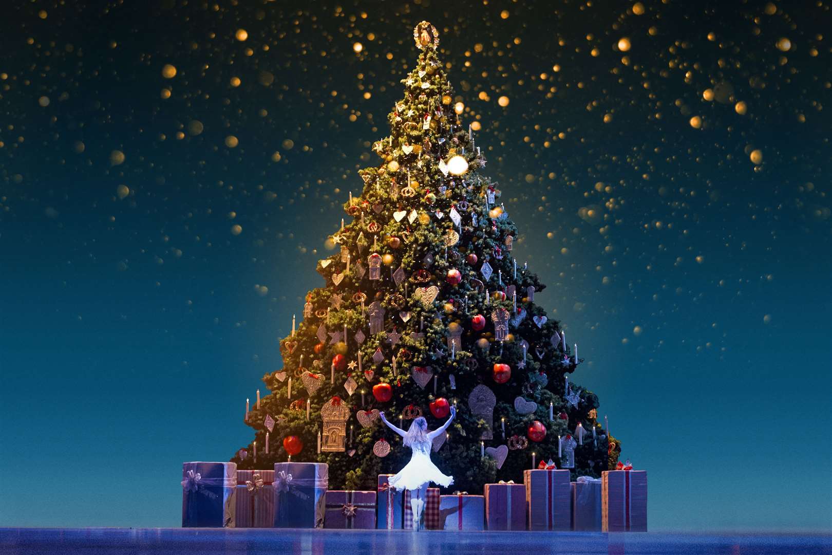 A family favourite at Christmas time, the Nutcracker is regarded as one of the most delightful ways to discover the enchantment of ballet.