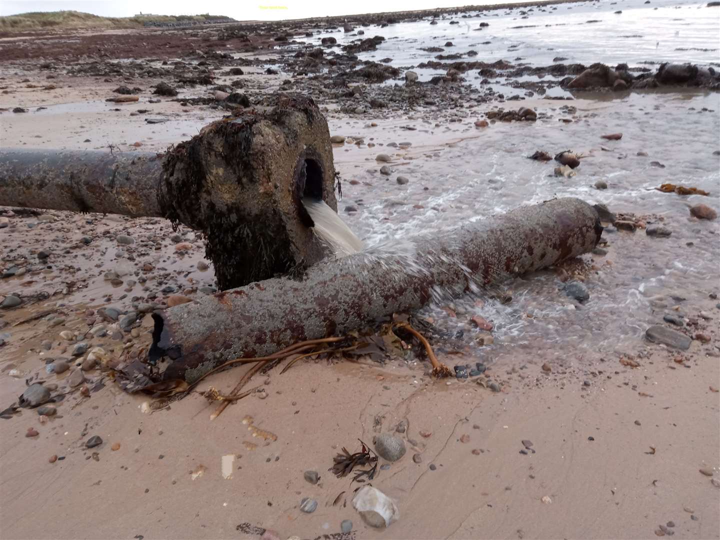 The broken pipe has been spilling sewage out onto the shore since mid-November.