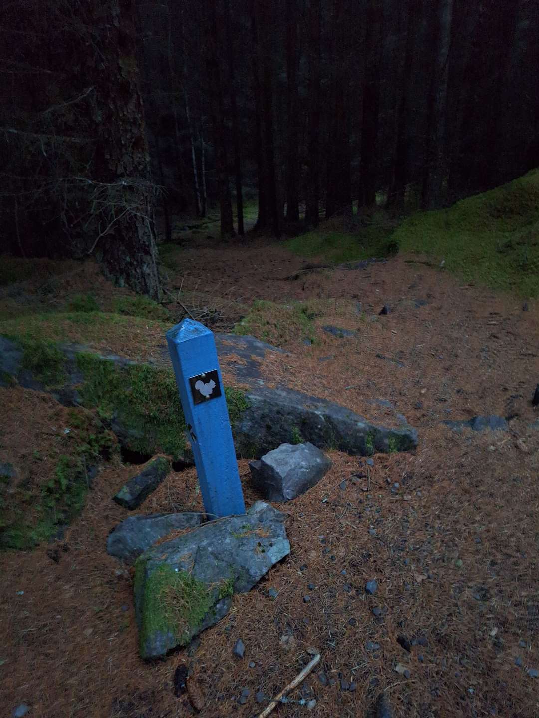 Heading into the dark, dark woods at a blue marker post for the South Loch Ness Trail.