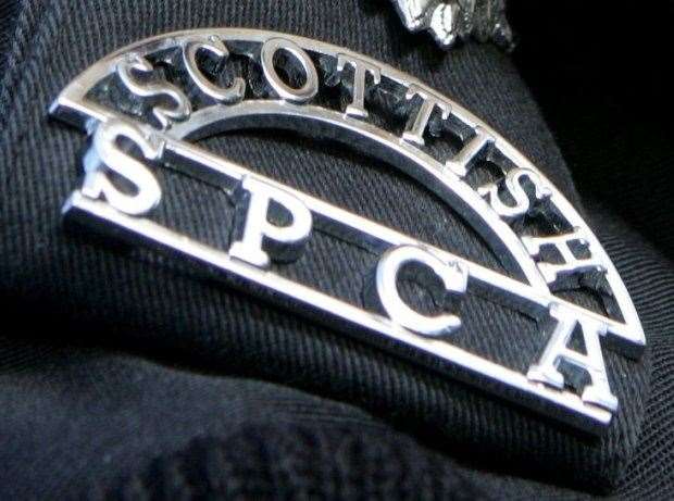 SSPCA are appealing for information
