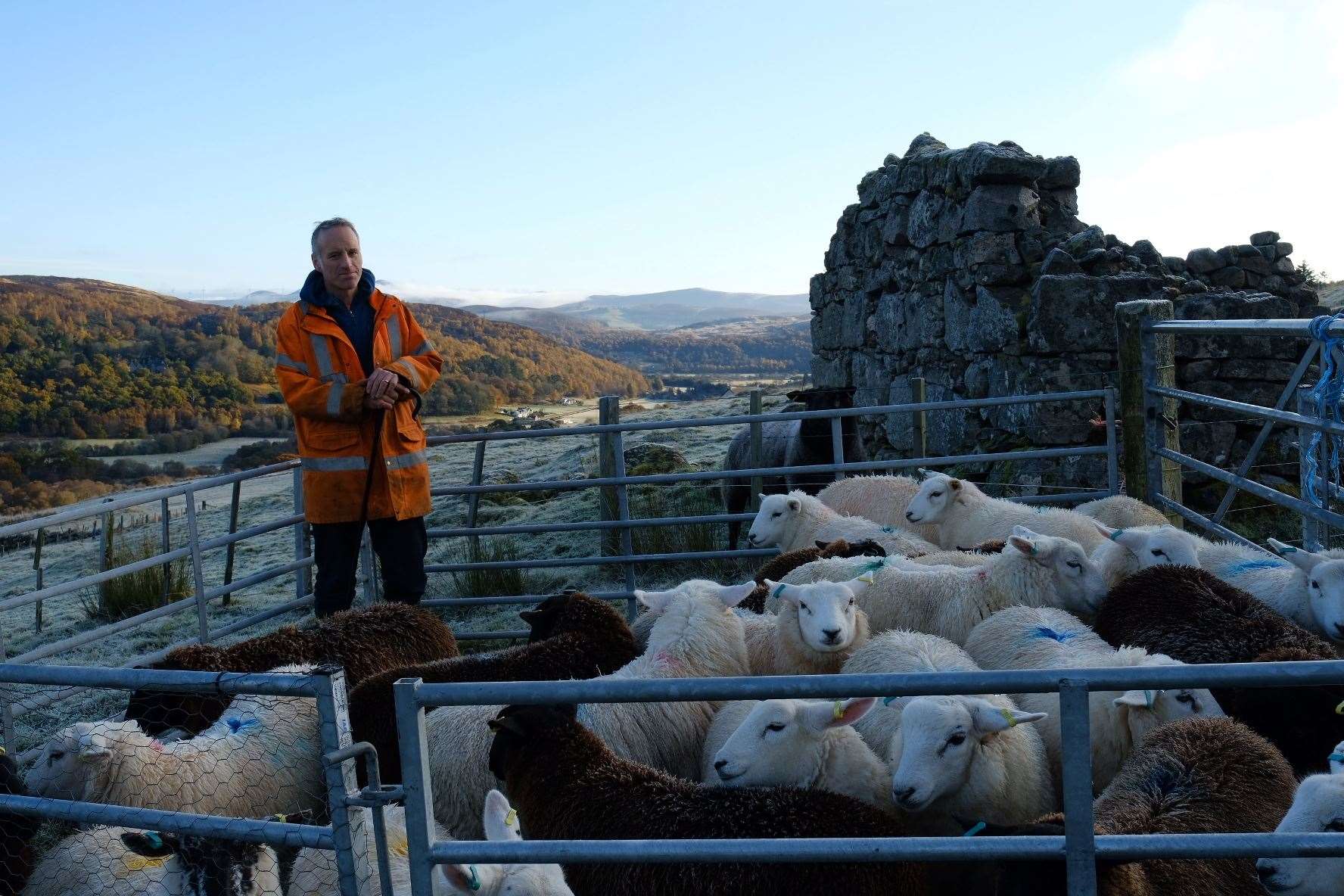 Jonathan Hedges, a crofter from Rogart has been appointed chair of the Crofters' Commission.
