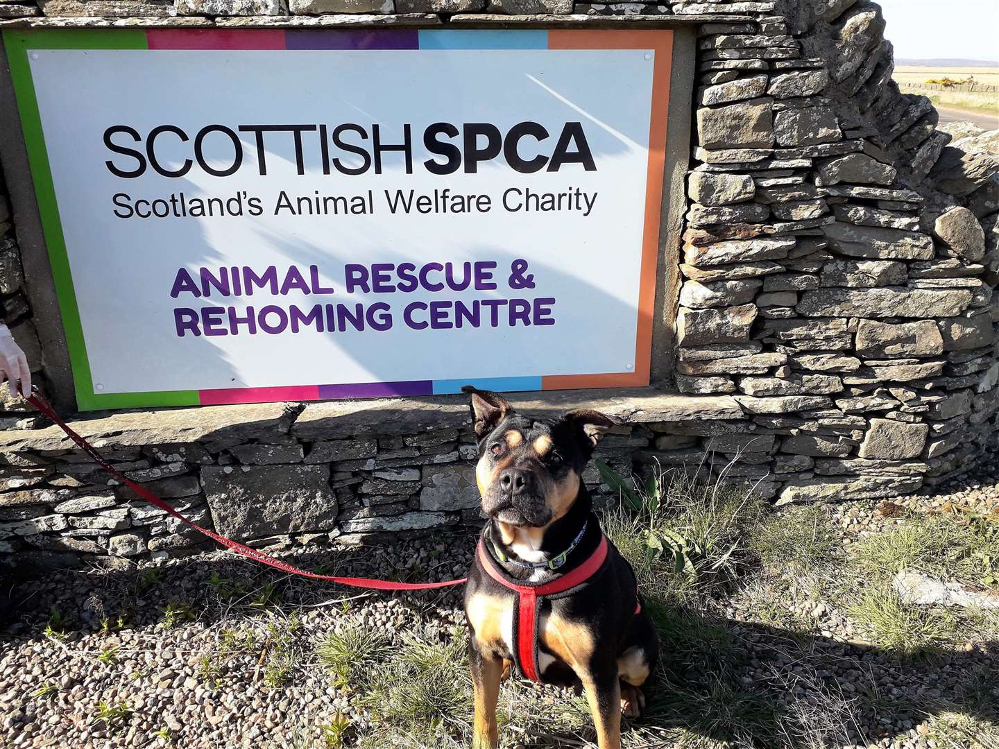 £500 has been donated to the local rescue centre.