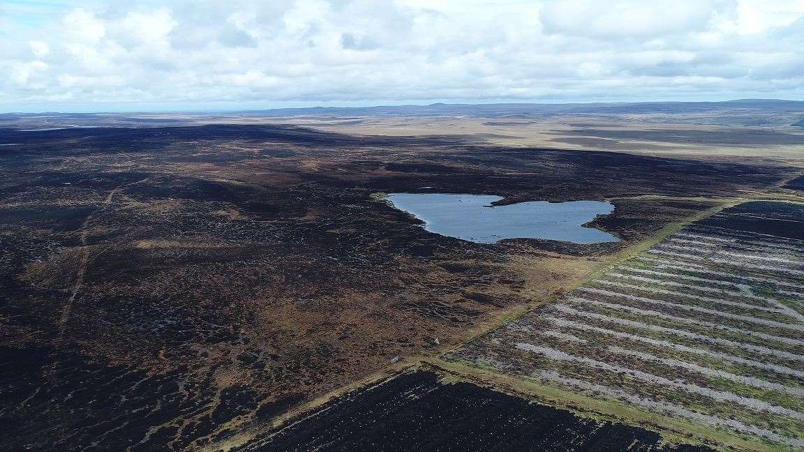 The aftermath of the 2019 wildfire, which impacted more than 6500 ha of blanket bog in the Flow Country. Picture: Jason McIlvenny