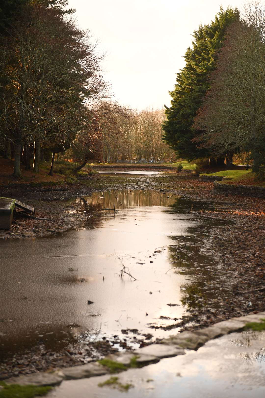 The pond in Whin Park after it was drained. Picture: James Mackenzie