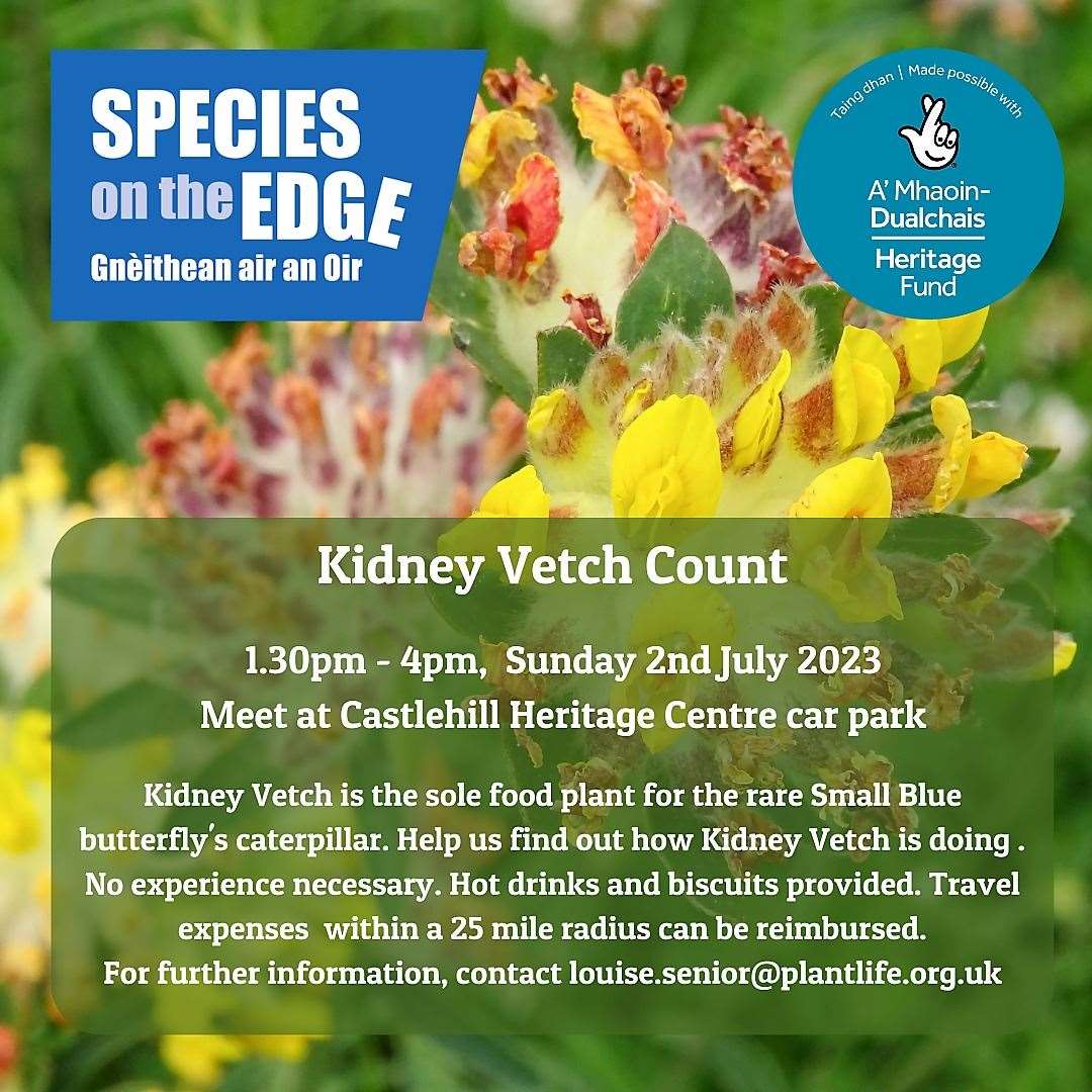 Kidney vetch count poster.