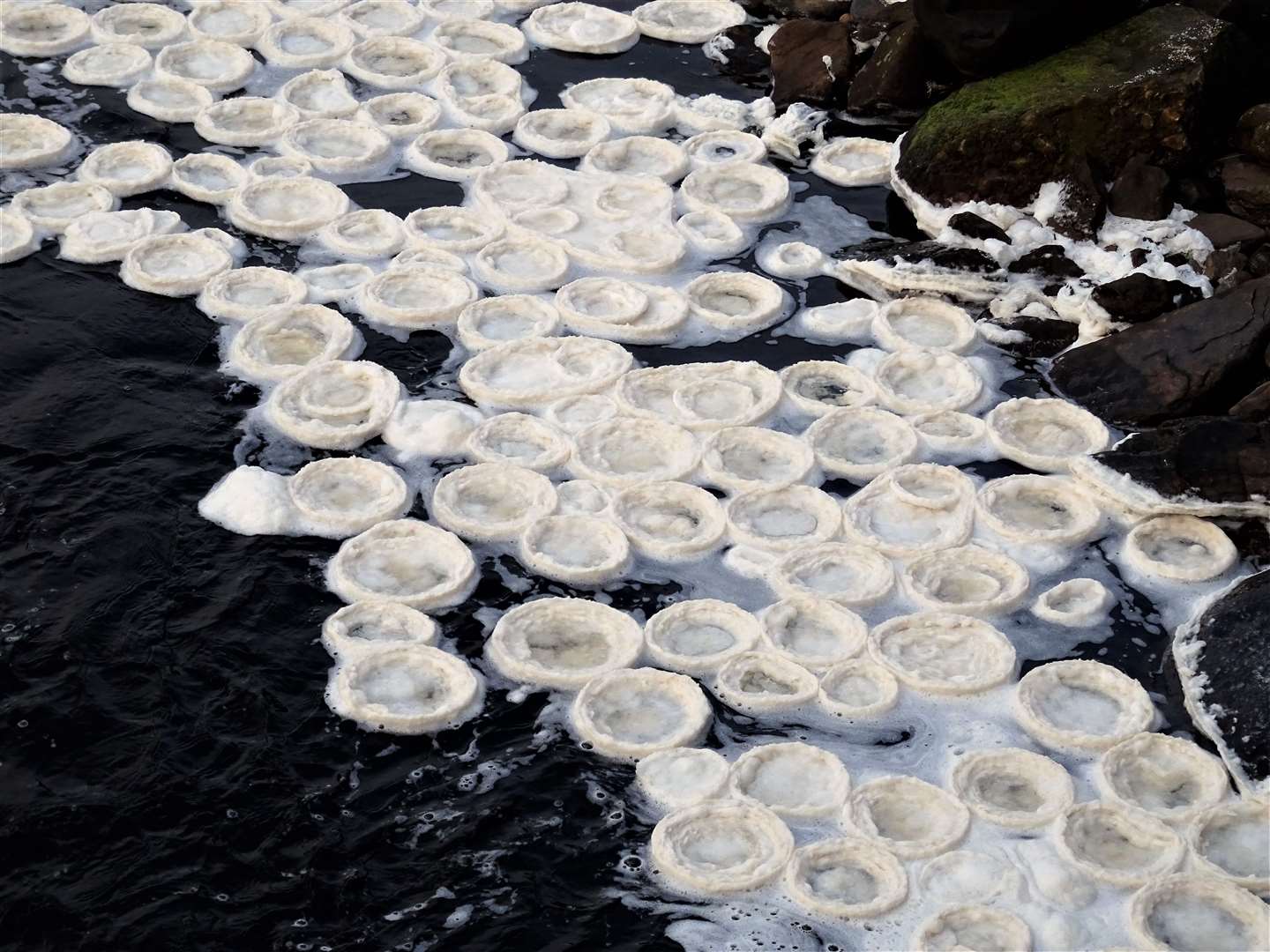 Ice pancakes are a relatively rare phenomenon that usually occur in very cold oceans and lakes. Pictures: Cath Whittles