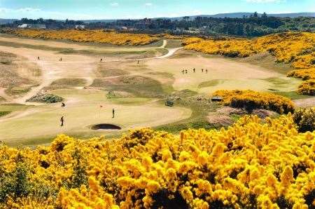 Royal Dornoch Golf Club, Dornoch, Tim Palmer, Sunday Times