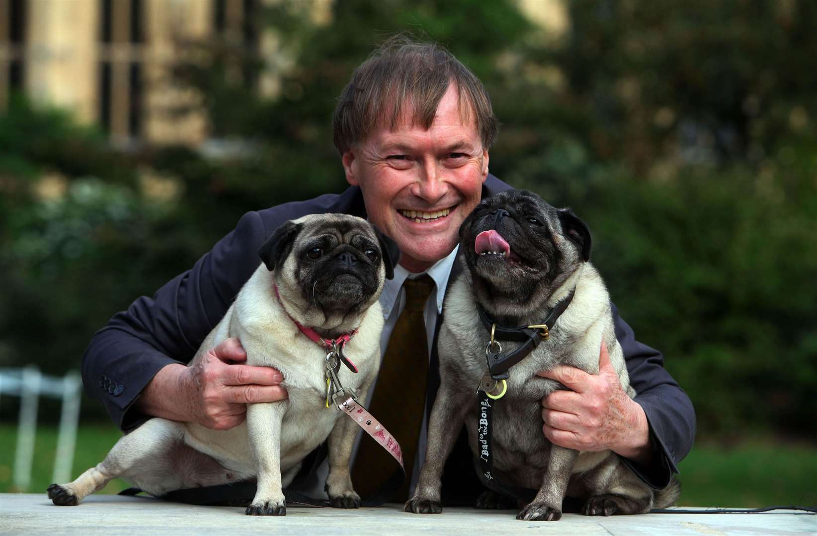 Conservative MP Sir David Amess with his pugs, Lily and Boat, at the Westminster Dog of the Year competition (PA)