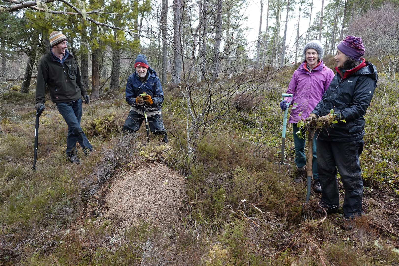 A group of volunteers nicknamed “The Anthill Mob” has rushed to the rescue of climate hero ants in the Highlands.