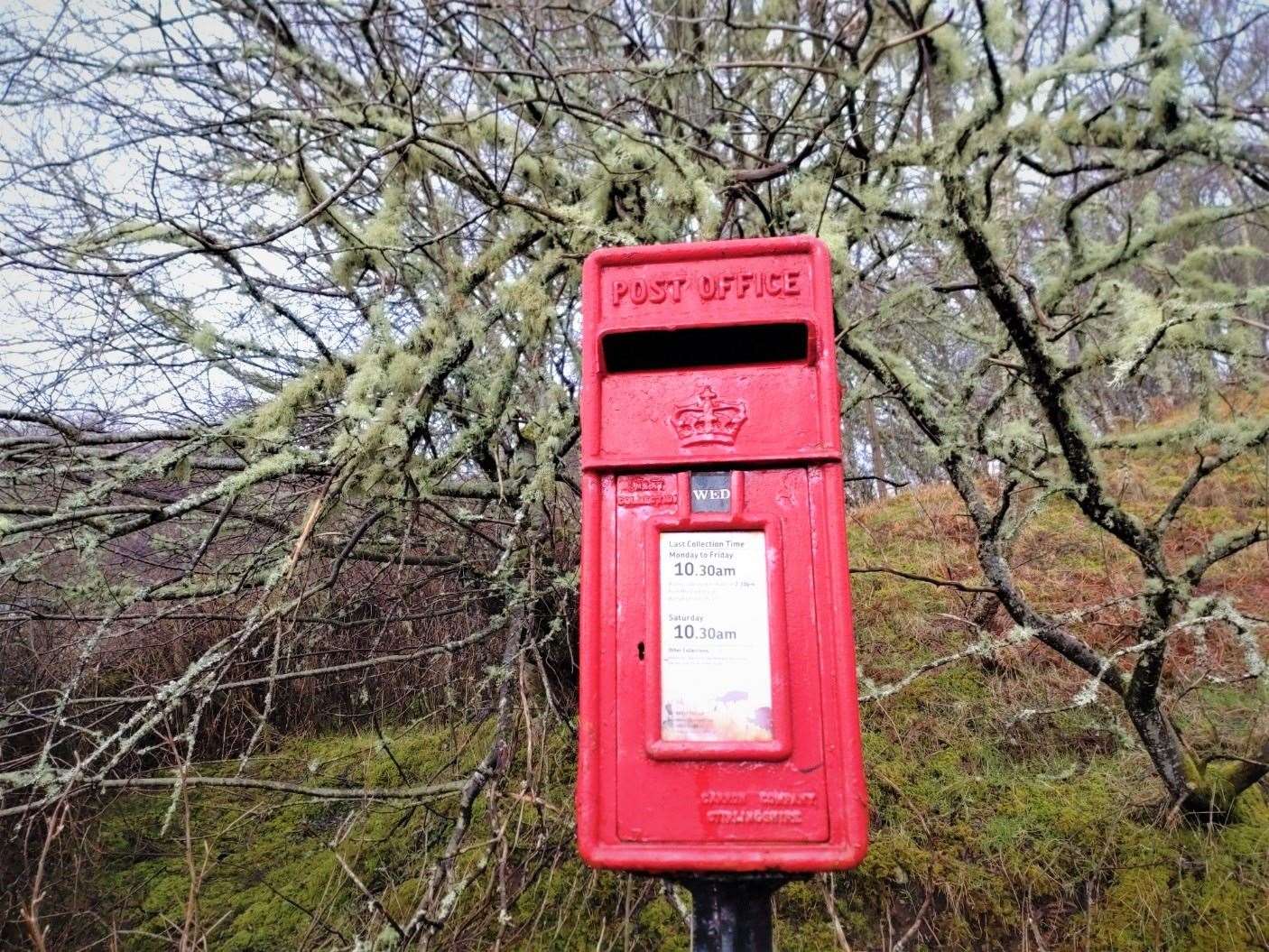 After eye surgery, lichen on the trees is now one of postman Mark Gilbert’s favourite sights.