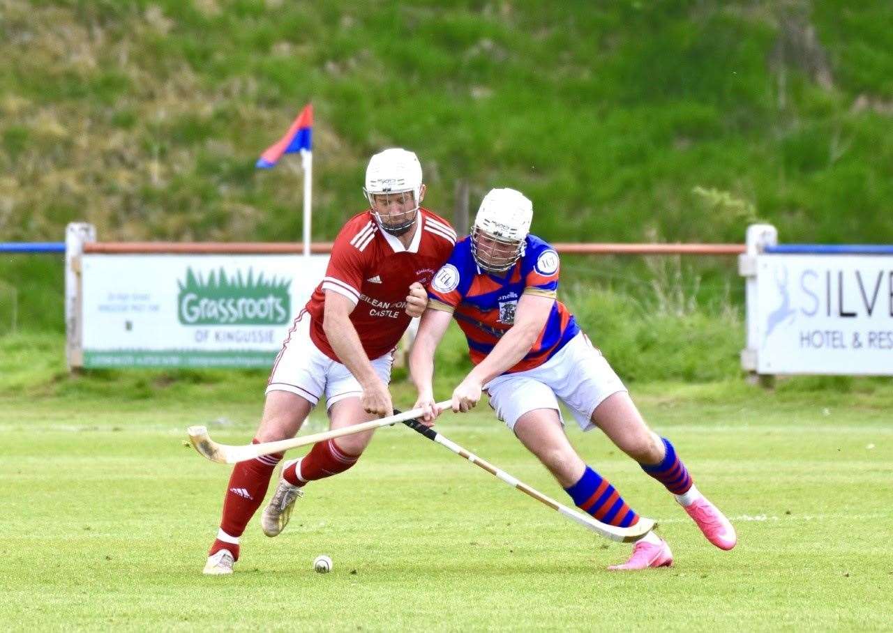 The new project will help safeguard the production of shinty camans.