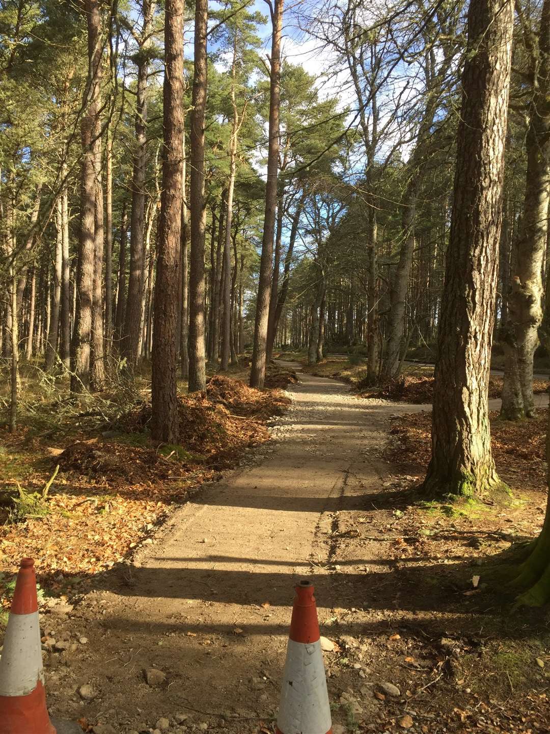 The aim of the project is to allow walkers and cyclists and also users of mobility scooters to travel safely from Golspie village out to and into the woods.”