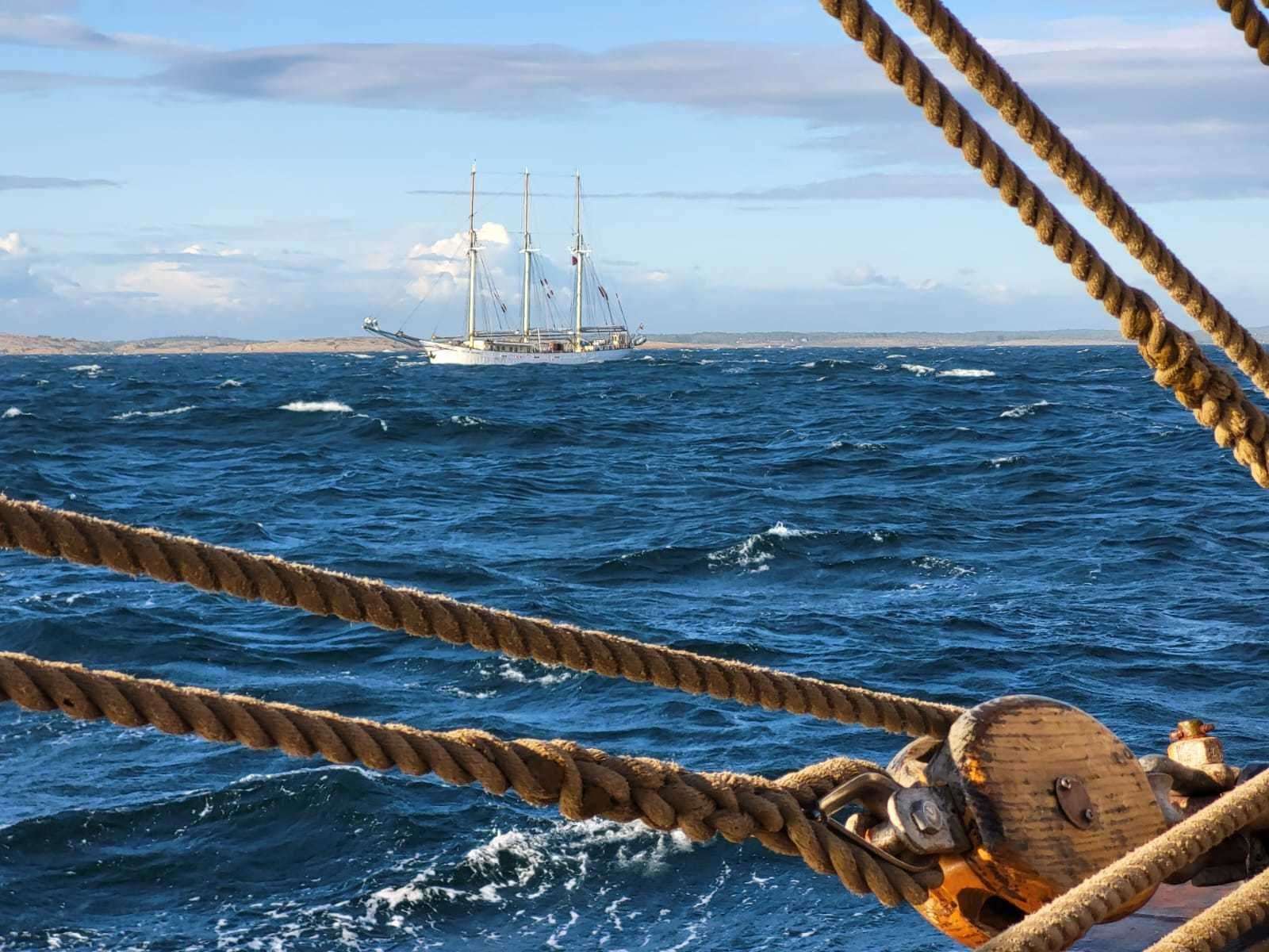 The youngsters from Caithness and Sutherland are on board the Statsraad Lehmkuhl and Roald Amundsen for the Tall Ships Races 2023.