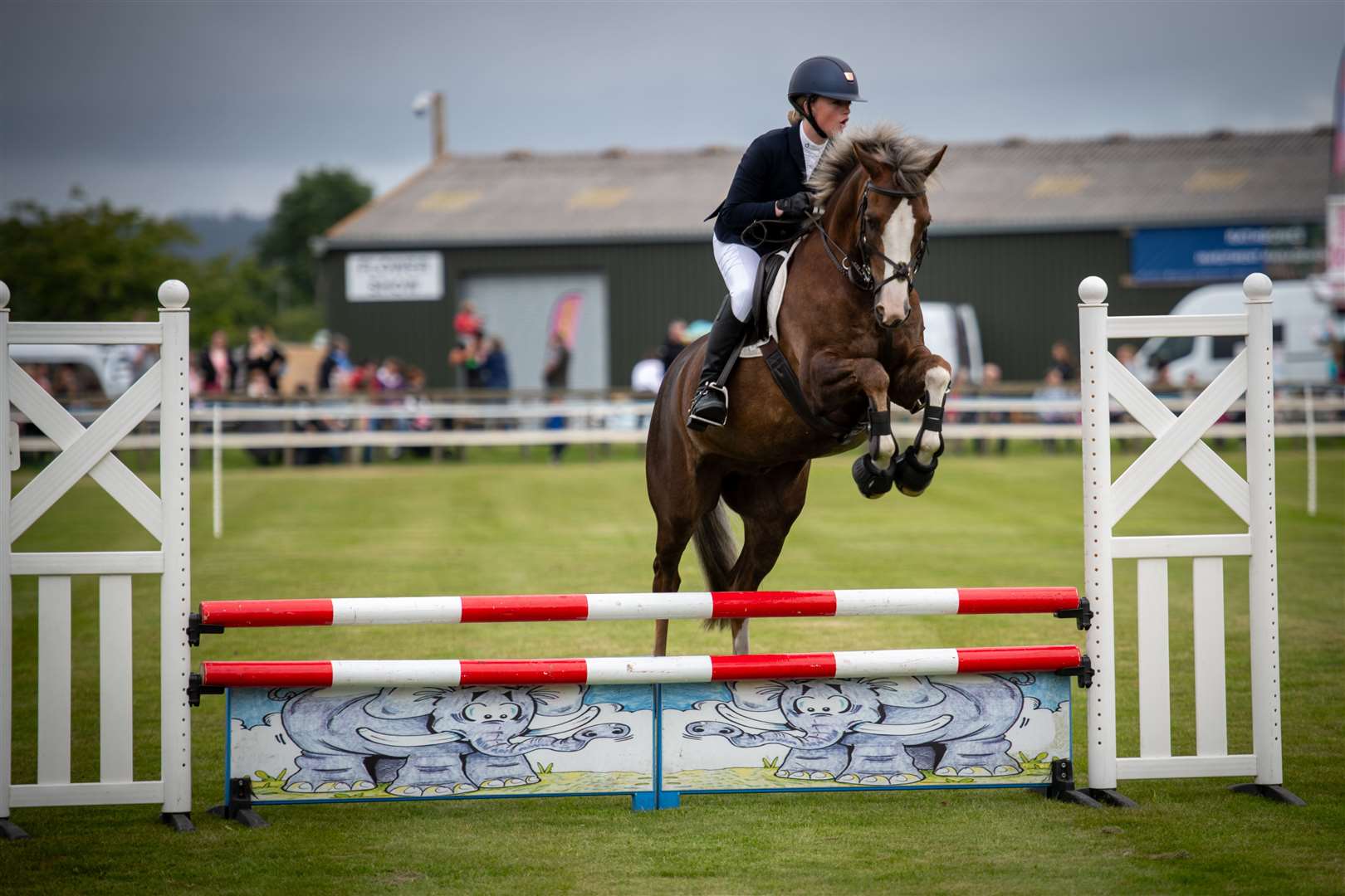 Focus essential at the showjumping competition. Picture: Callum Mackay