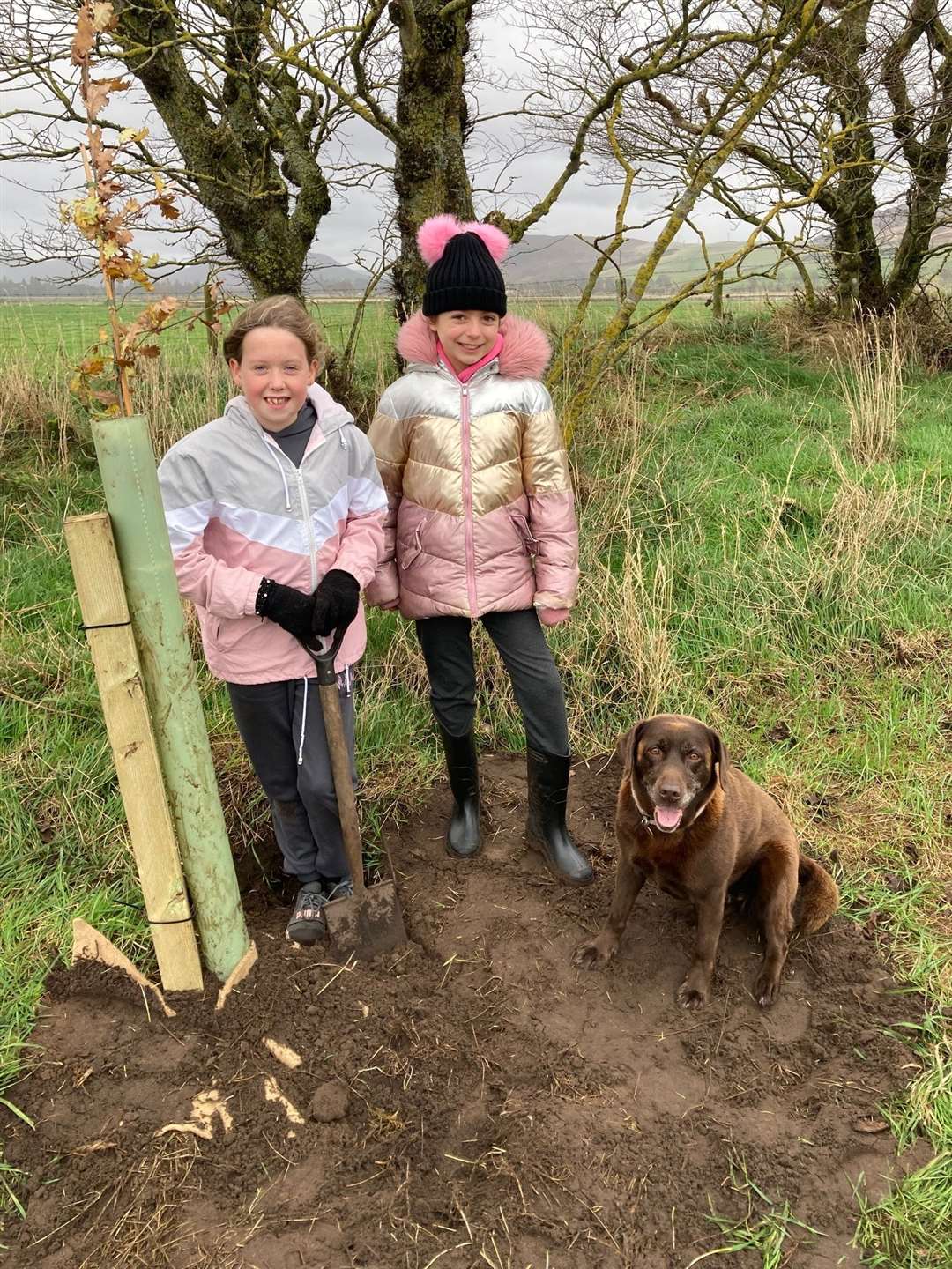 The youngsters did a power of digging.