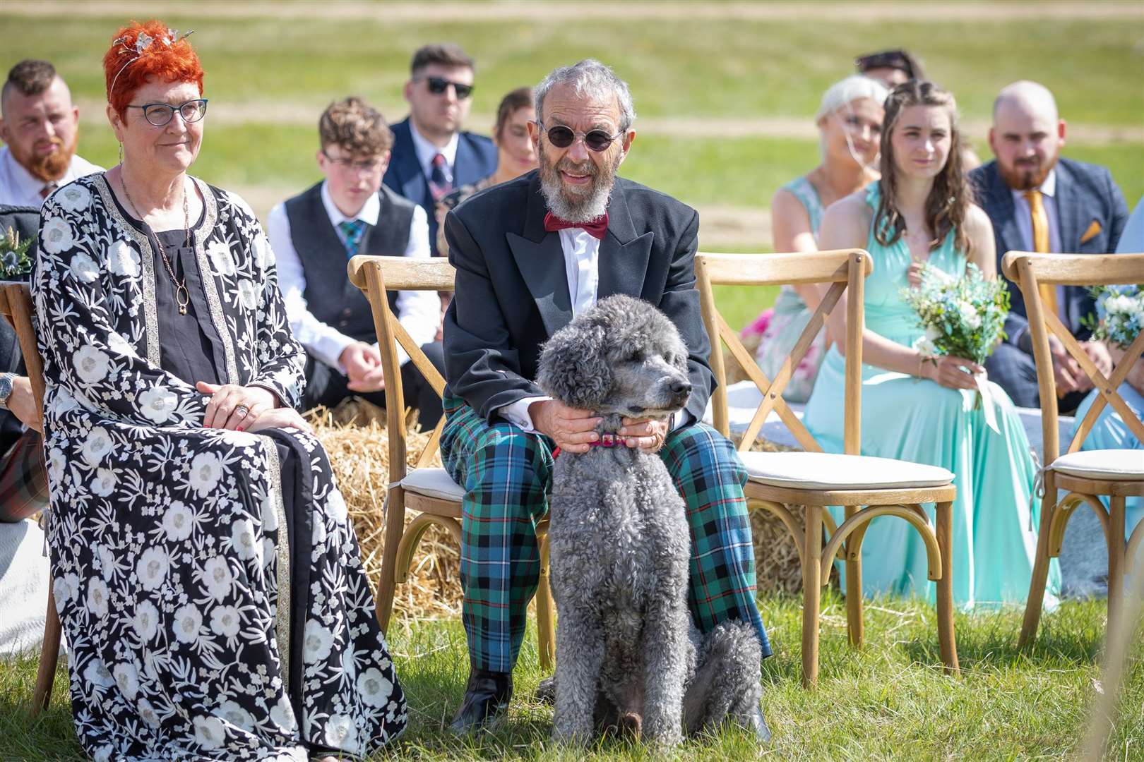 Paddy the horse was not the only four-legged guest at the wedding.