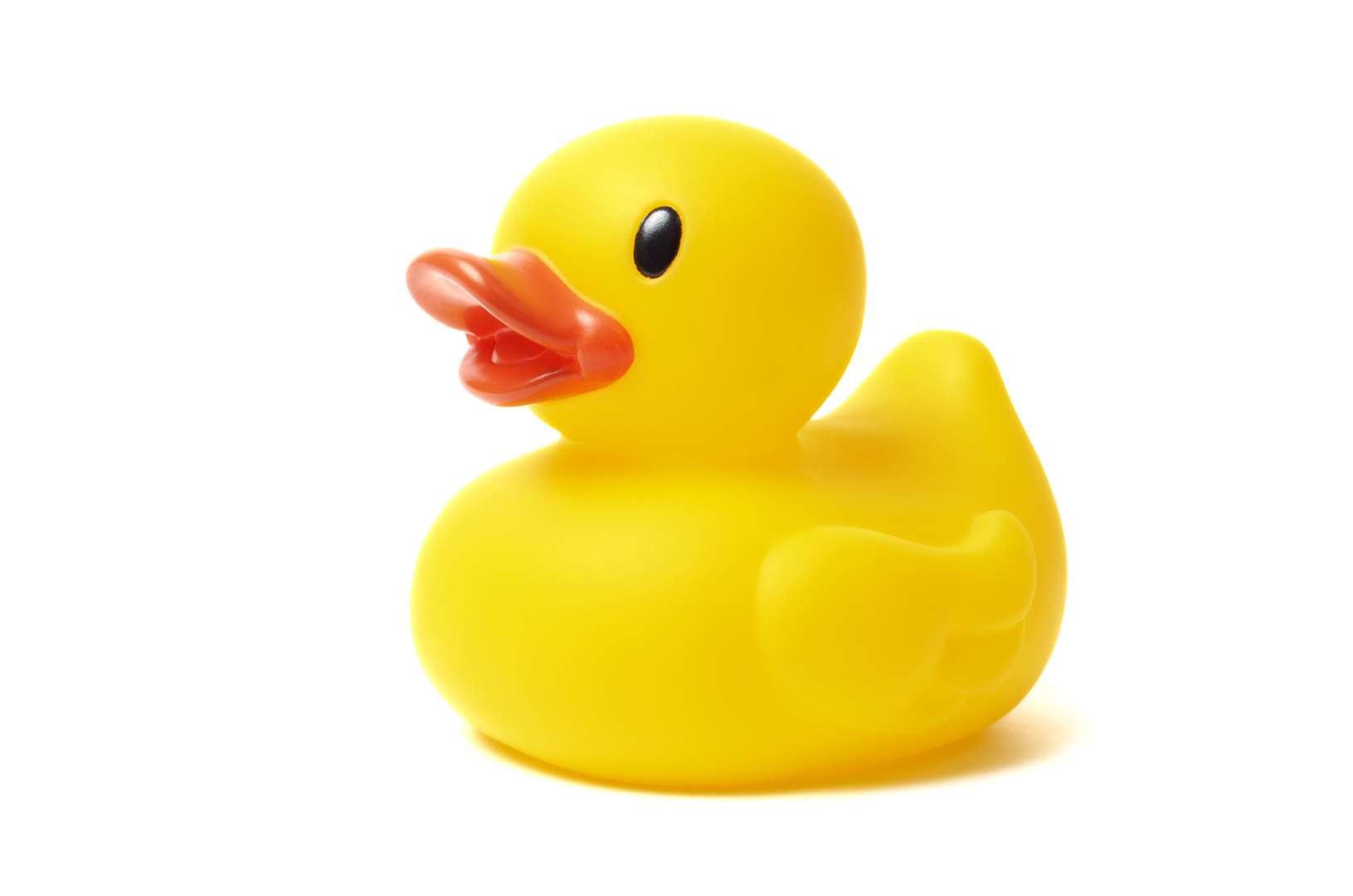 Some 1,800 ducks have already been sold.