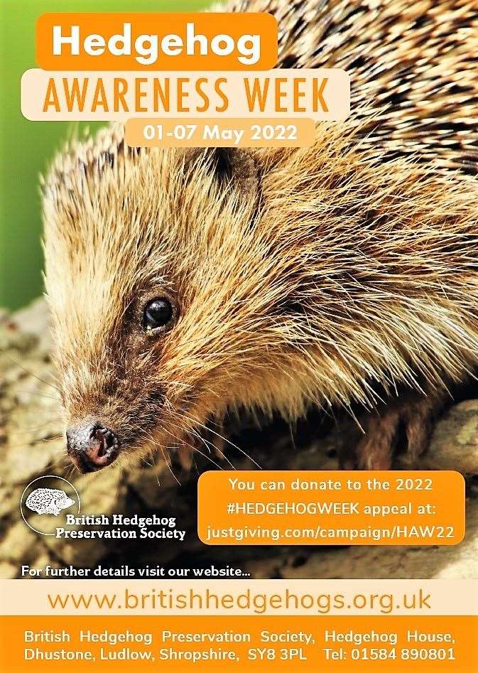 Hedgehog Awareness Week poster.