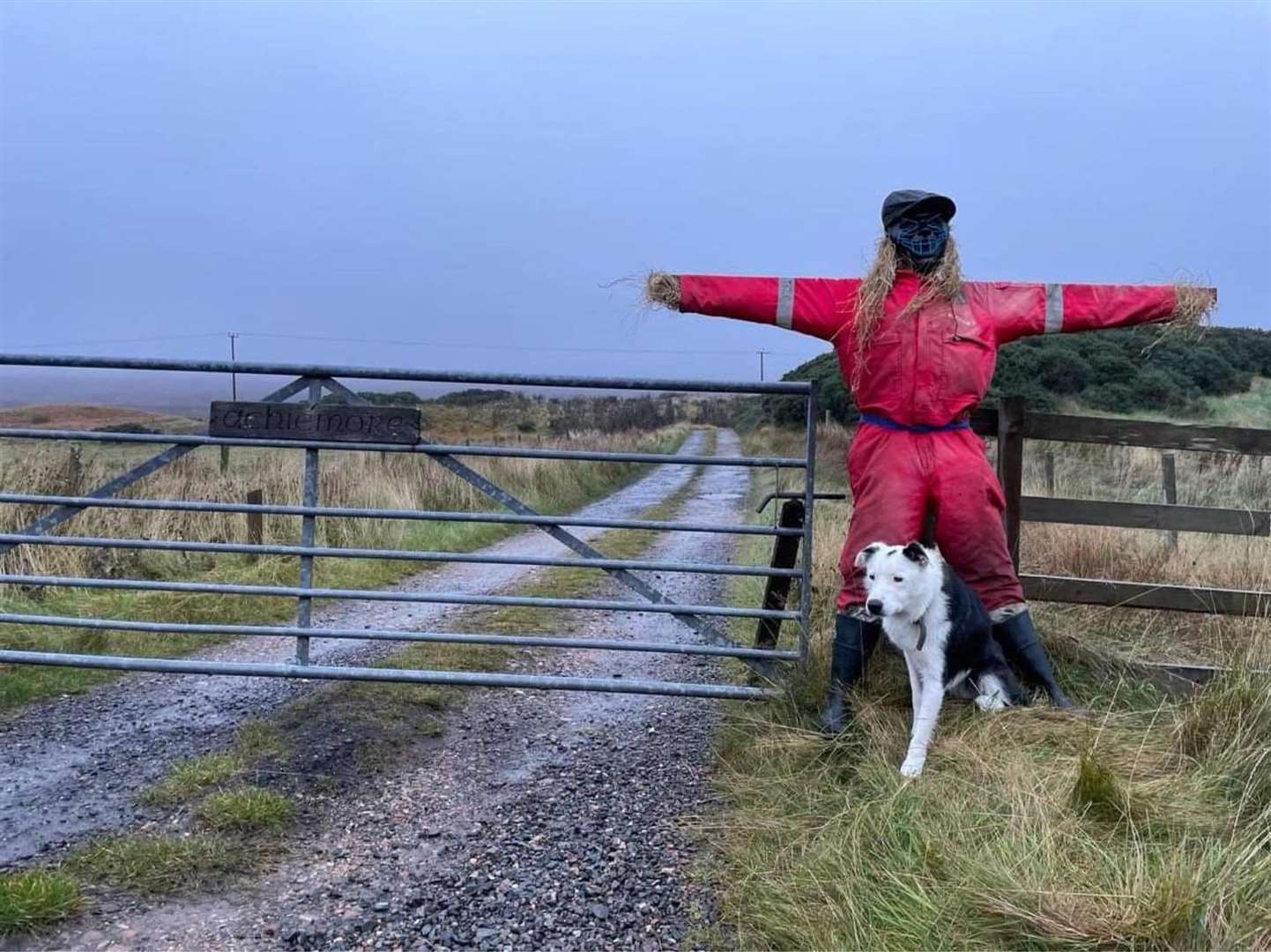 One man and his dog at Achiemore. Picture: Lisa Jardine