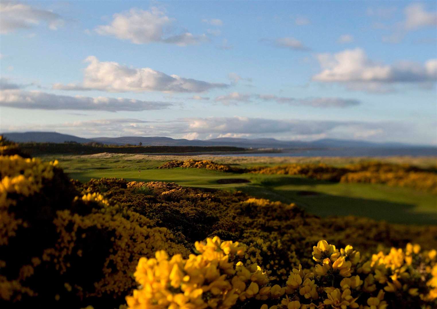 The demand to play Royal Dornoch's Championship Course this year is "unprecedented".