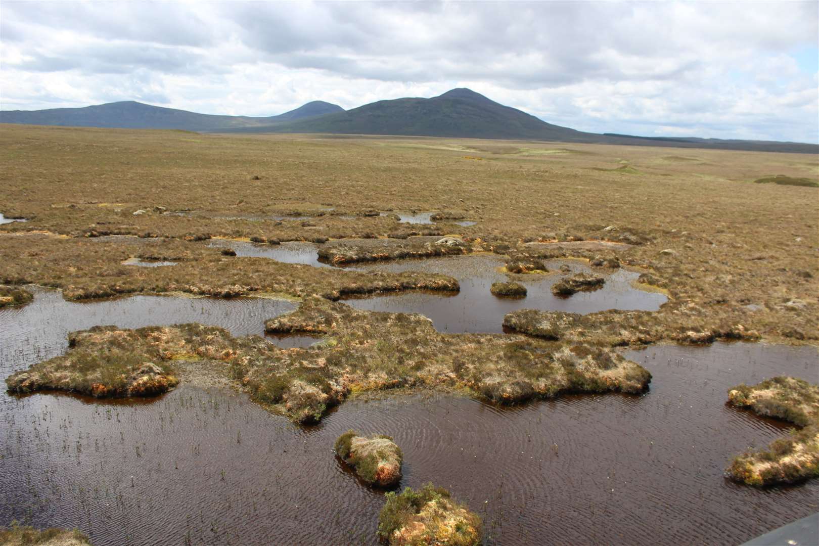 The most intact and extensive blanket bog system in the world, The Flow Country is the UK’s greatest resource against global climate change and consists of over 400,000 hectares of peatland across Caithness and Sutherland.