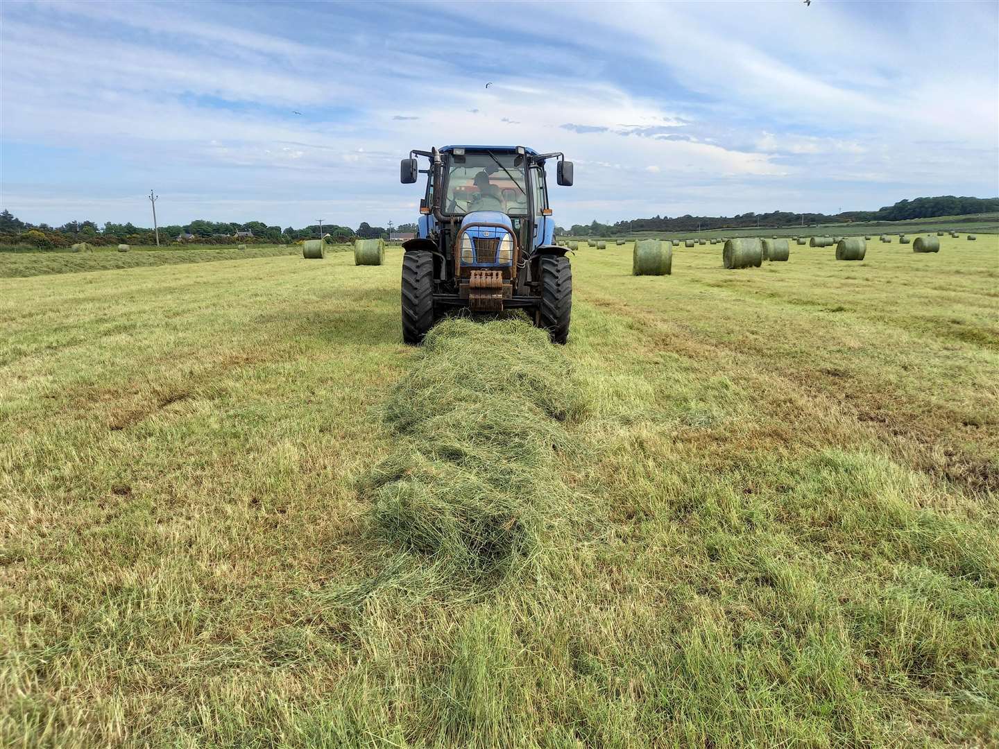 Good weather conditions have led to greater volumes of silage this year.