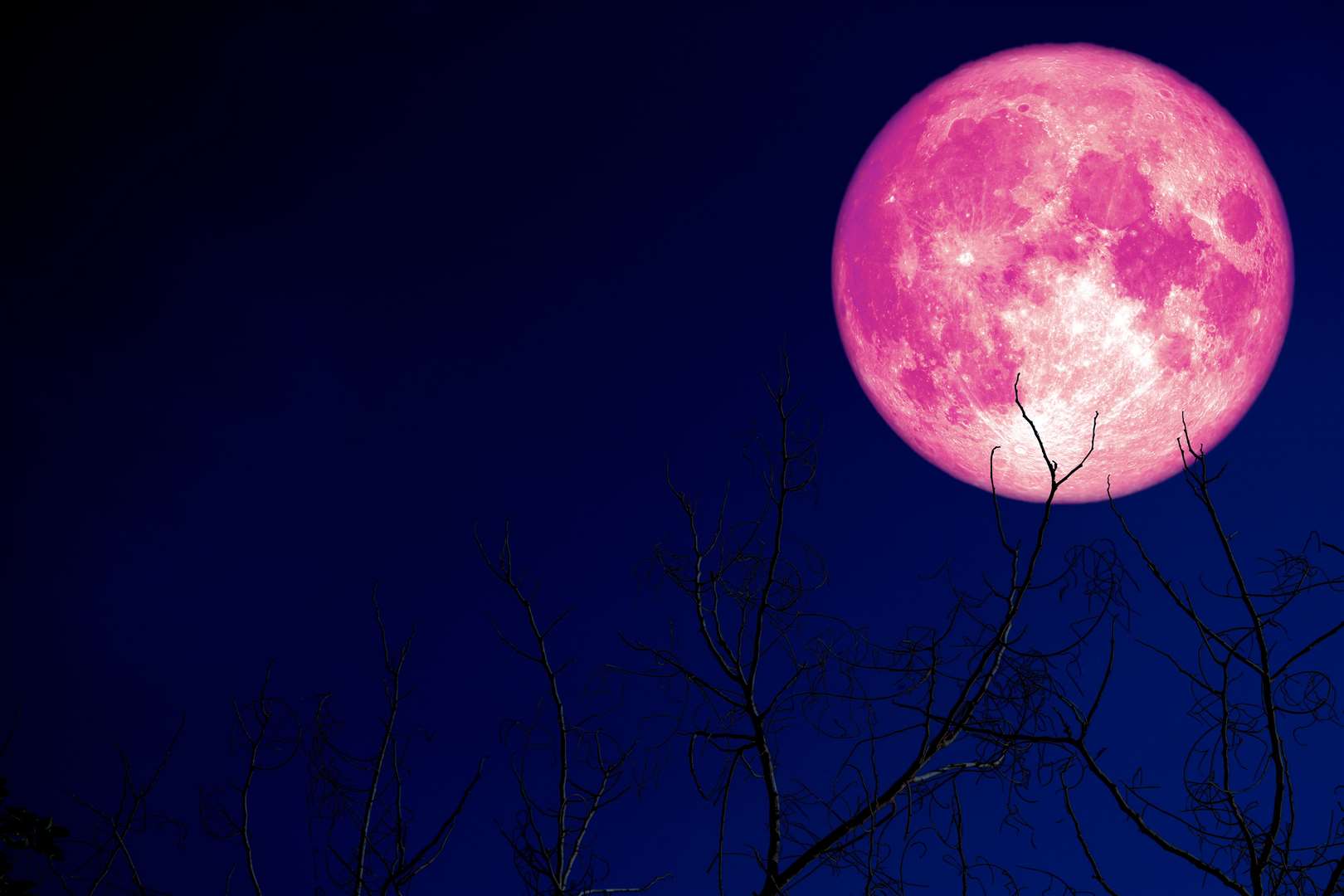 super pink egg moon.