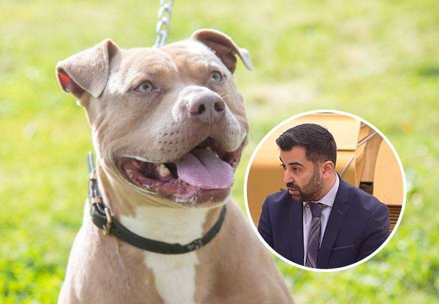 First Minister Humza Yousaf has confirmed that Scotland will follow England and Wales in applying new dangerous dog rules to XL Bully dogs.