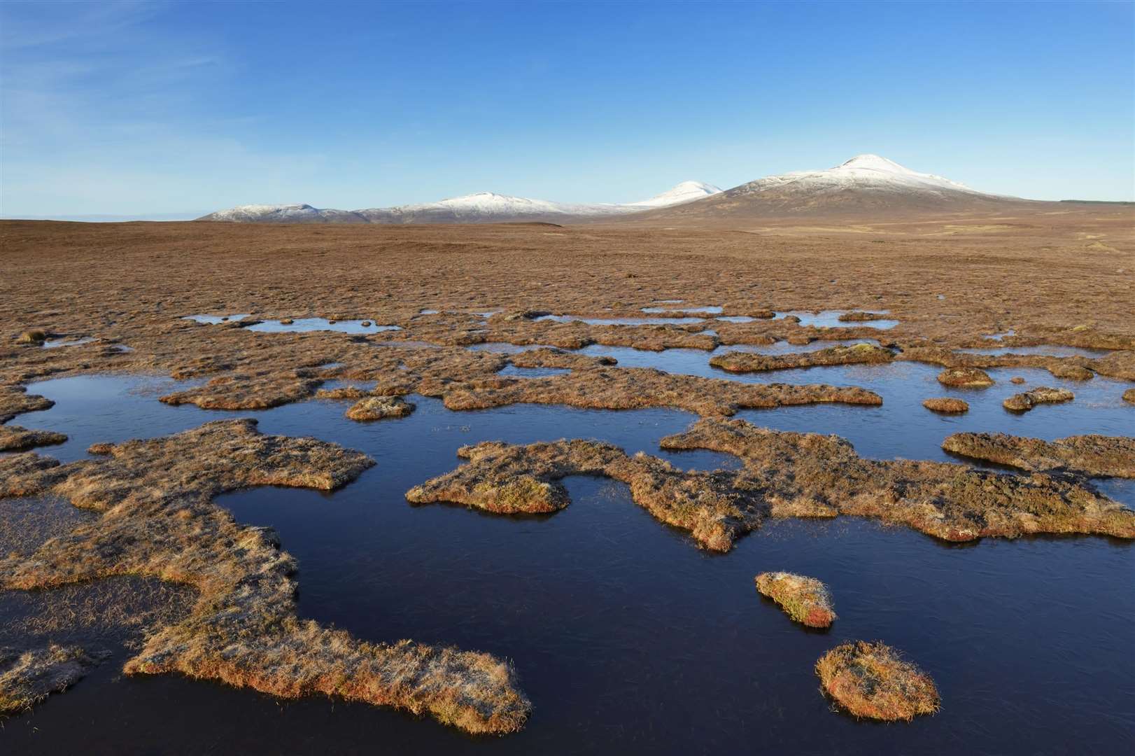 The Flow Country is an area of deep peat, dotted with bog pools that forms the heart of the Caithness and Sutherland peatlands. Credit Lorne Gill/NatureScot