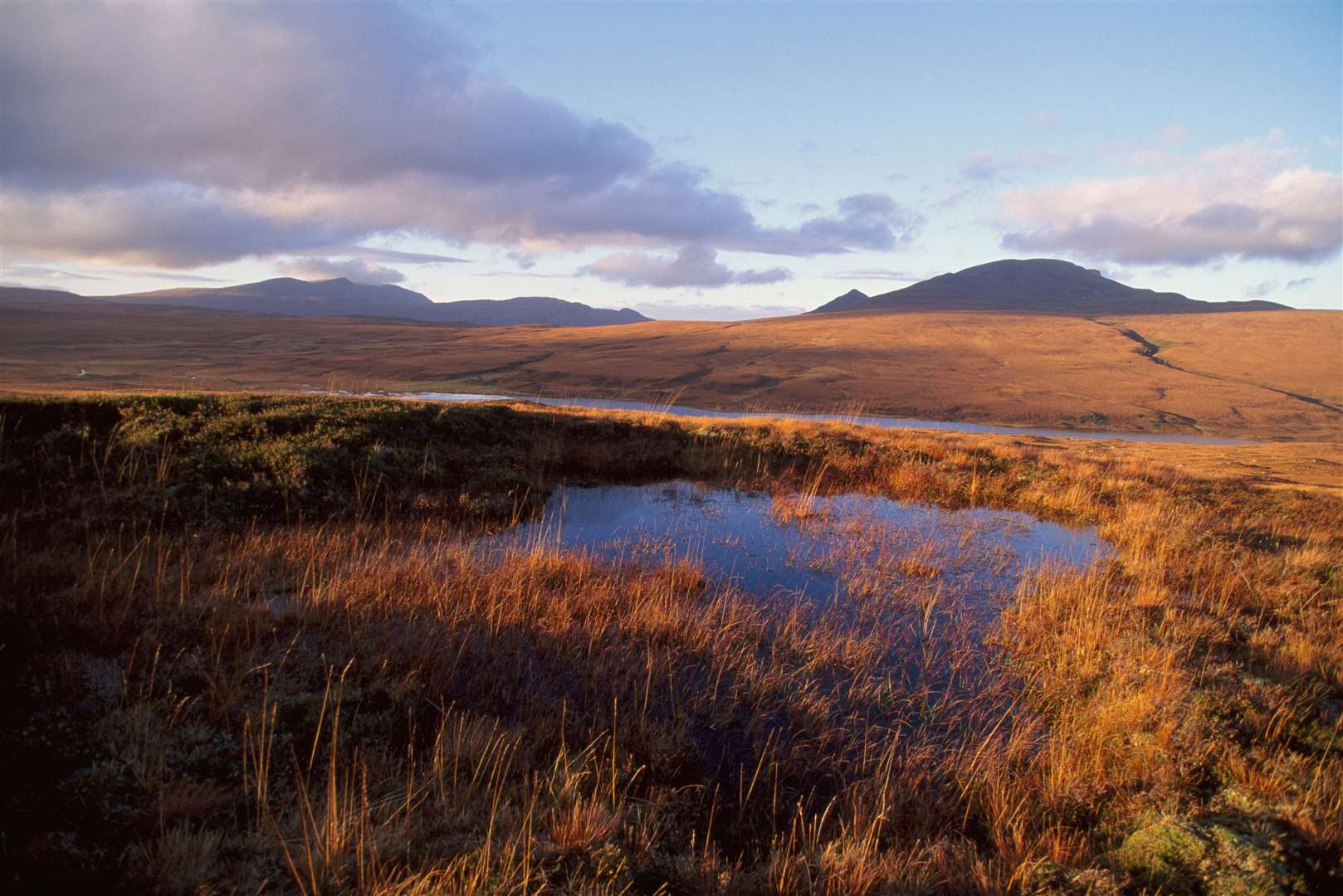 The Flow Country is one of the world's best preserved peatland habitats.
