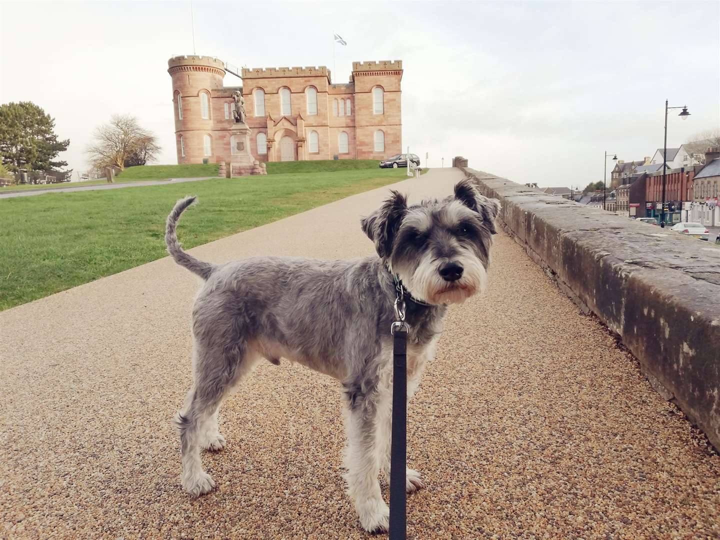 The author often walked her dog to the castle before refurbishments started.