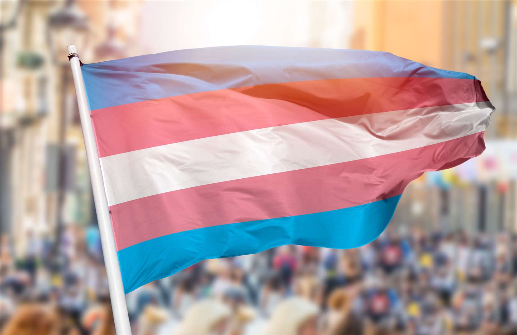 This Friday marks international Trans Day of Visibility.