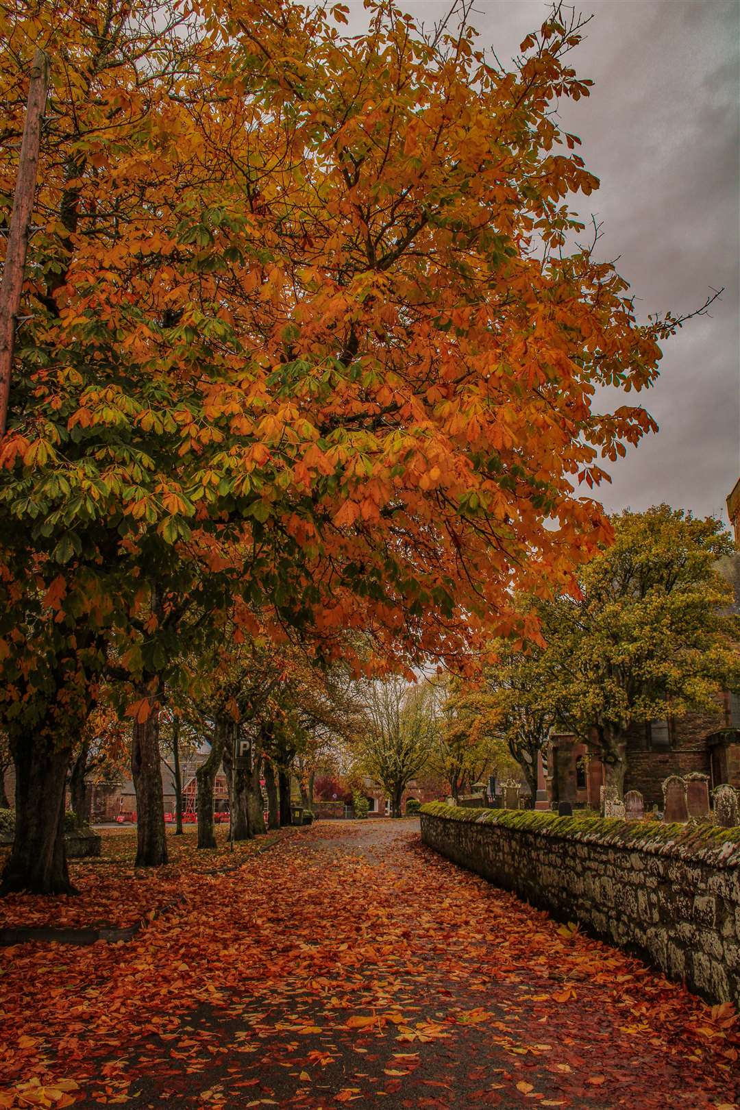 Hannah Robson’s autumnal shot of Dornoch town centre, which was awarded a runner-up spot.