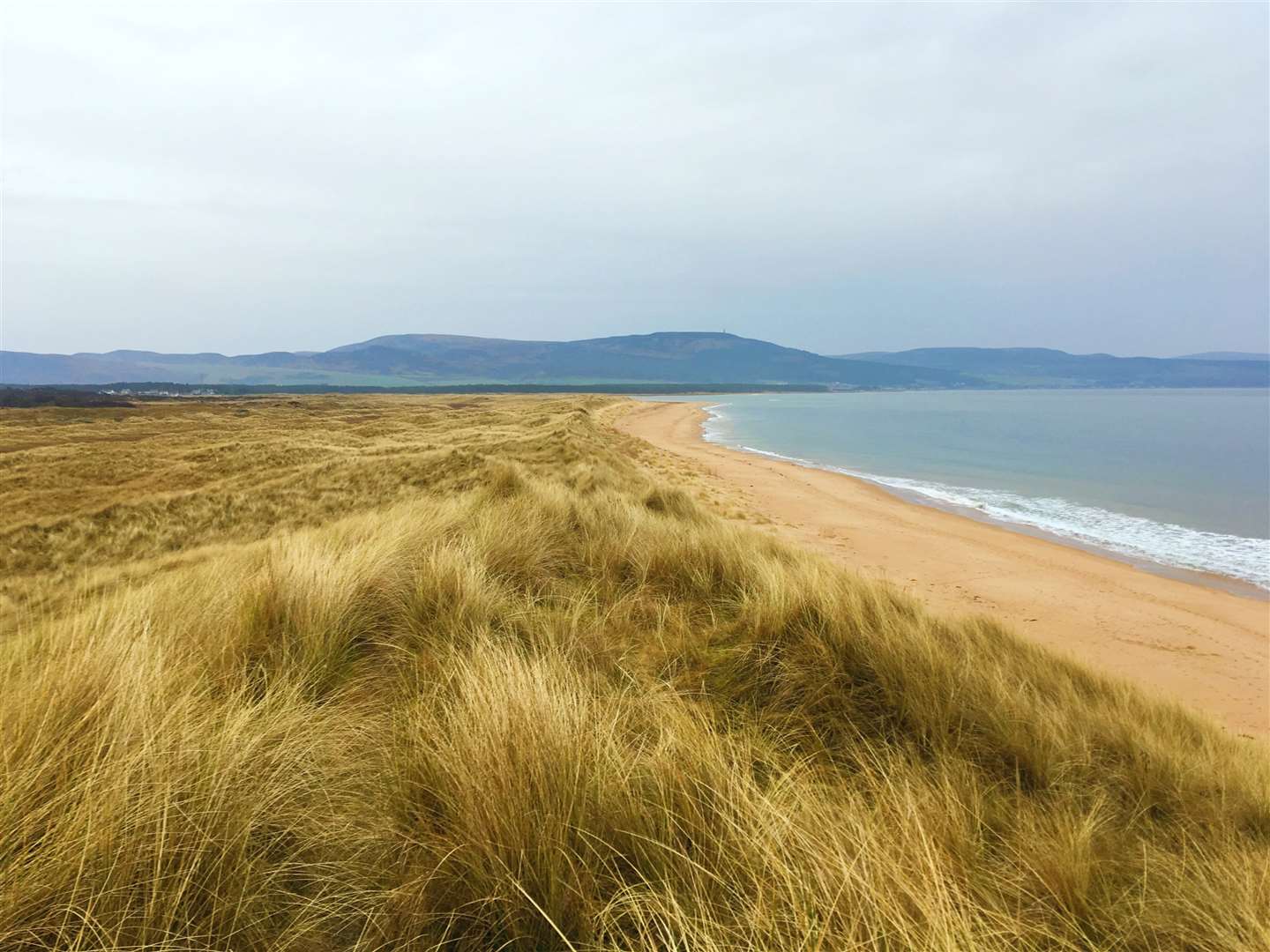 Coul Links’ dunes run alongside the Loch Fleet basin. The site is a Special Protection Area for birds and designated under the international Ramsar Convention on Wetlands. Part of the proposed course lies within Loch Fleet Site of Special Scientific Interest.