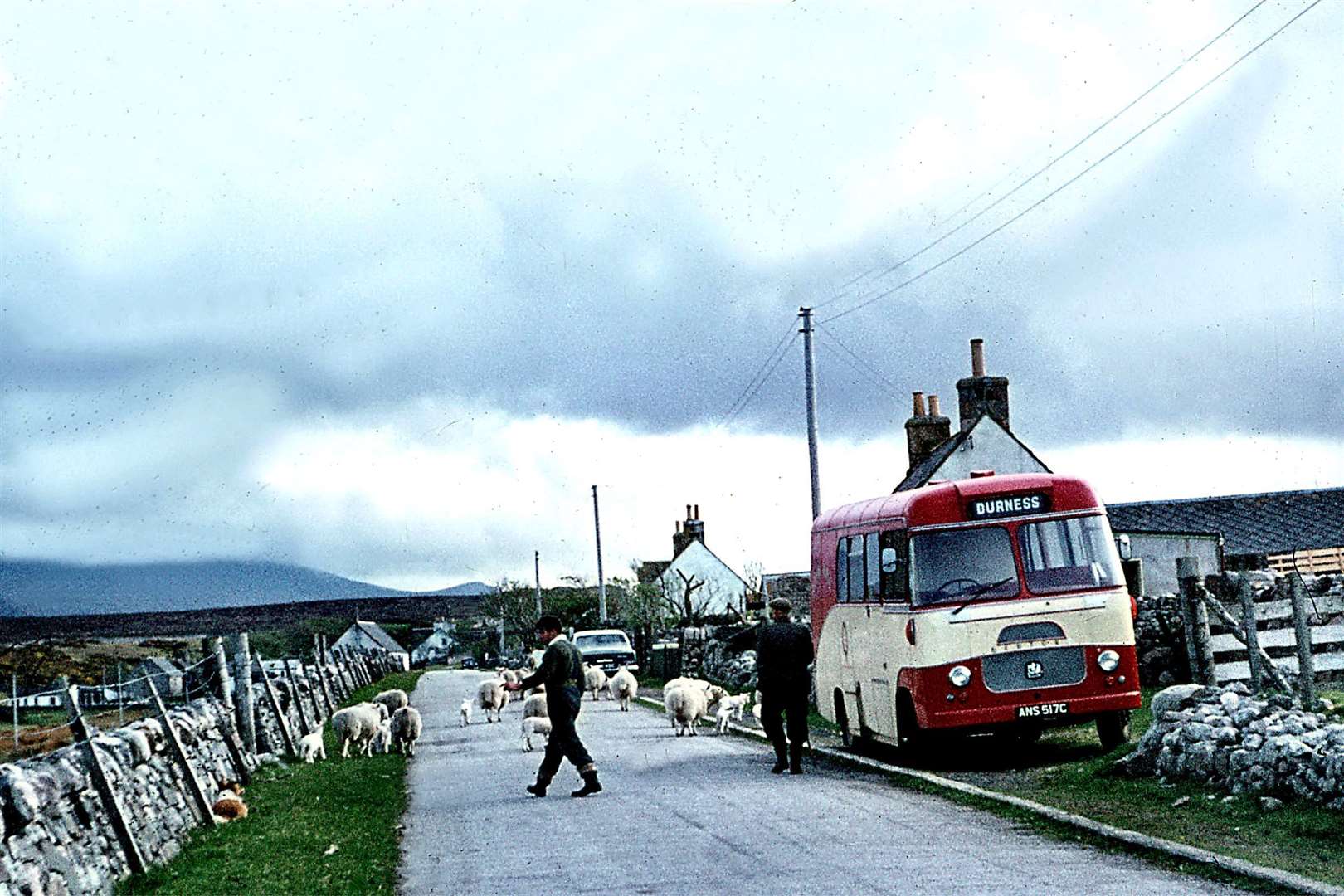 The 1965 picture at Sangomore, Durness, shows the late Michael Mather, who took over as driver from his father Jimmy, and his uncle Tom, driving sheep past the bus.