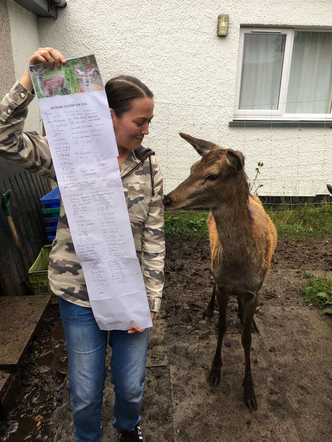 Deer have become commonplace wandering round Lochinver. Here one looks on as Angela Pirie holds up her petition.