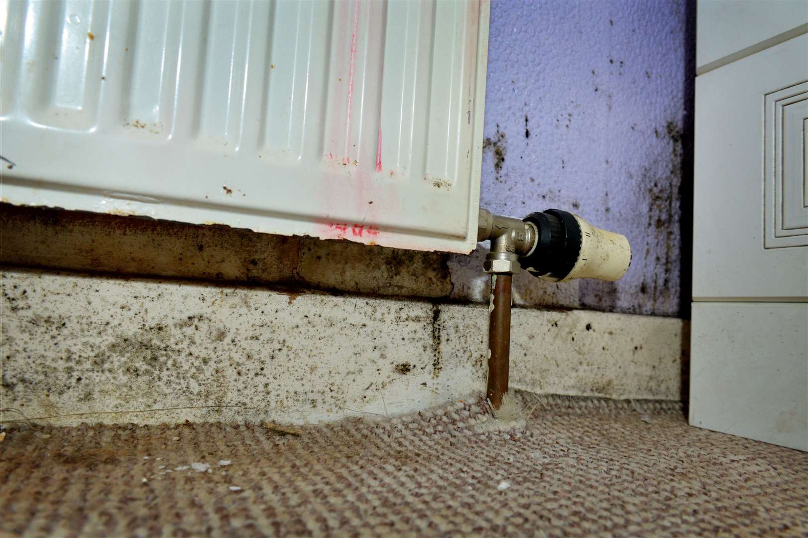 Mould affecting one council-owned property.
