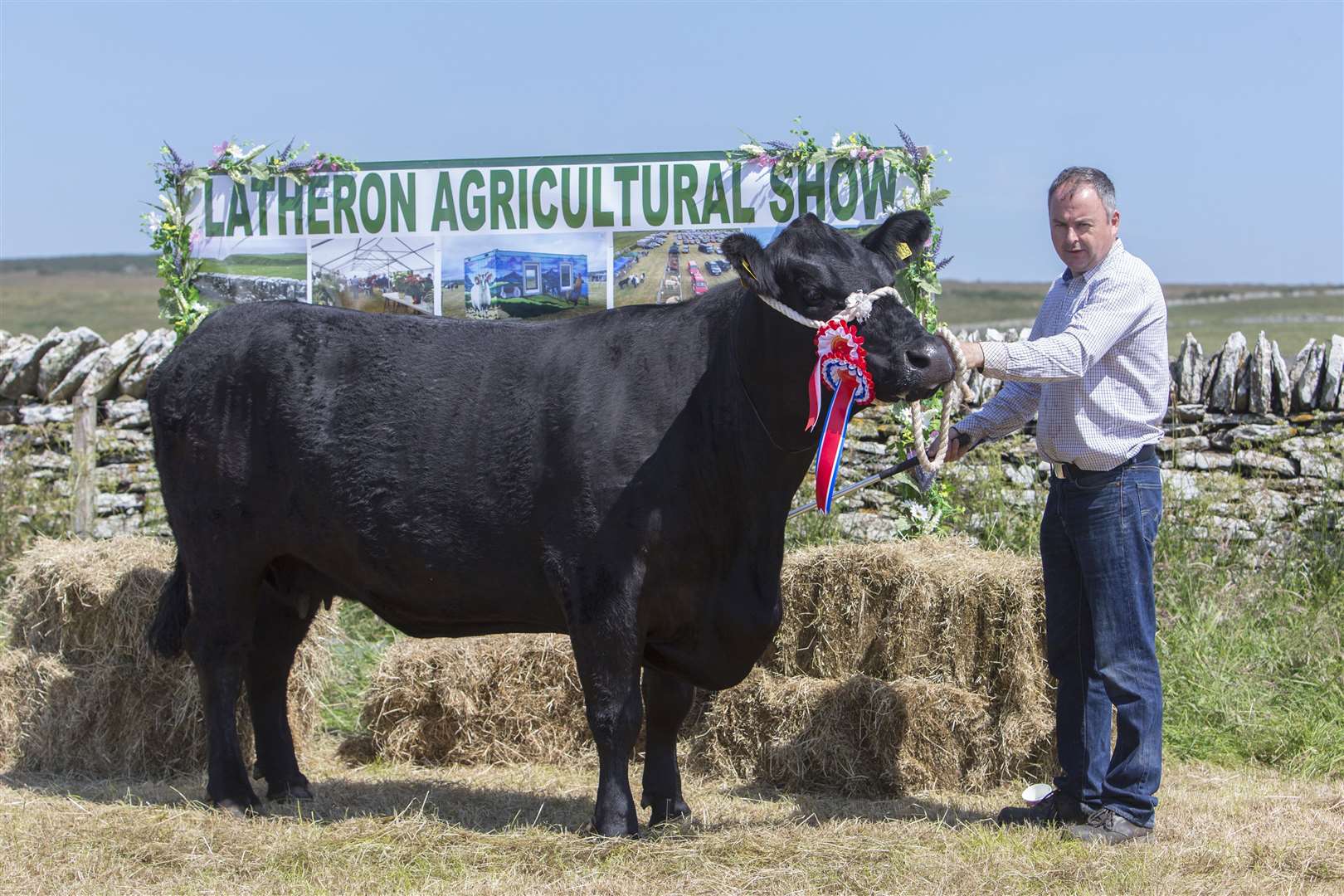 Jonathan Gunn, Mavsey, Lybster, is the first winner of a new trophy donated by Peter Mackay, Forss, for the native cattle championship. It went to the four-year-old Aberdeen-Angus Tonley Ester. Picture: Robert MacDonald / Northern Studios
