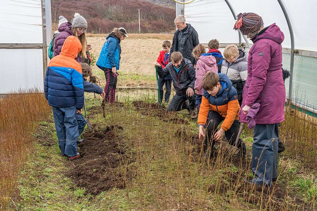 The youngsters dig up the wych elm seedlings grown by Little Assynt Tree Nursery with the help of countryside ranger Andy Summers (kneeling) and nursery workers Nick Clooney and Josie Gibberd. Picture: Chris Puddephatt