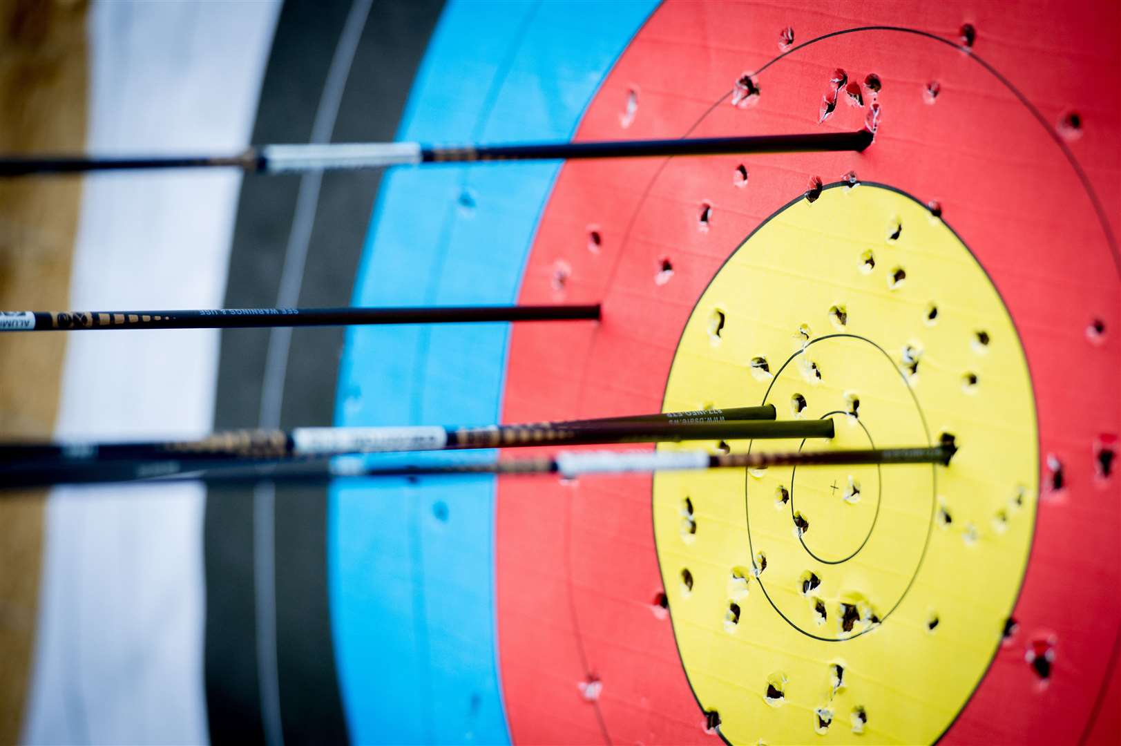 A Dornoch activity provider is seeking to offer field archery.