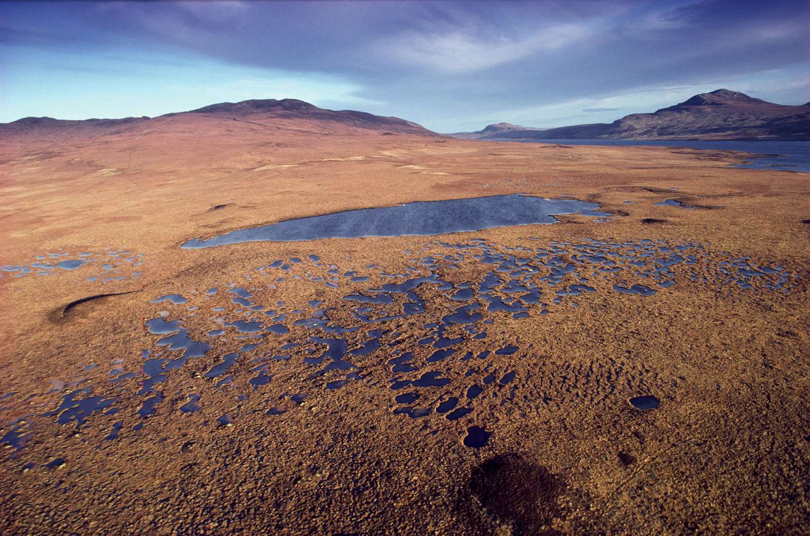 The Flow Country Partnership hopes to secure Unesco World Heritage Site status for the Caithness and Sutherland bogs.  Photo: Lorne Gill/NatureScot