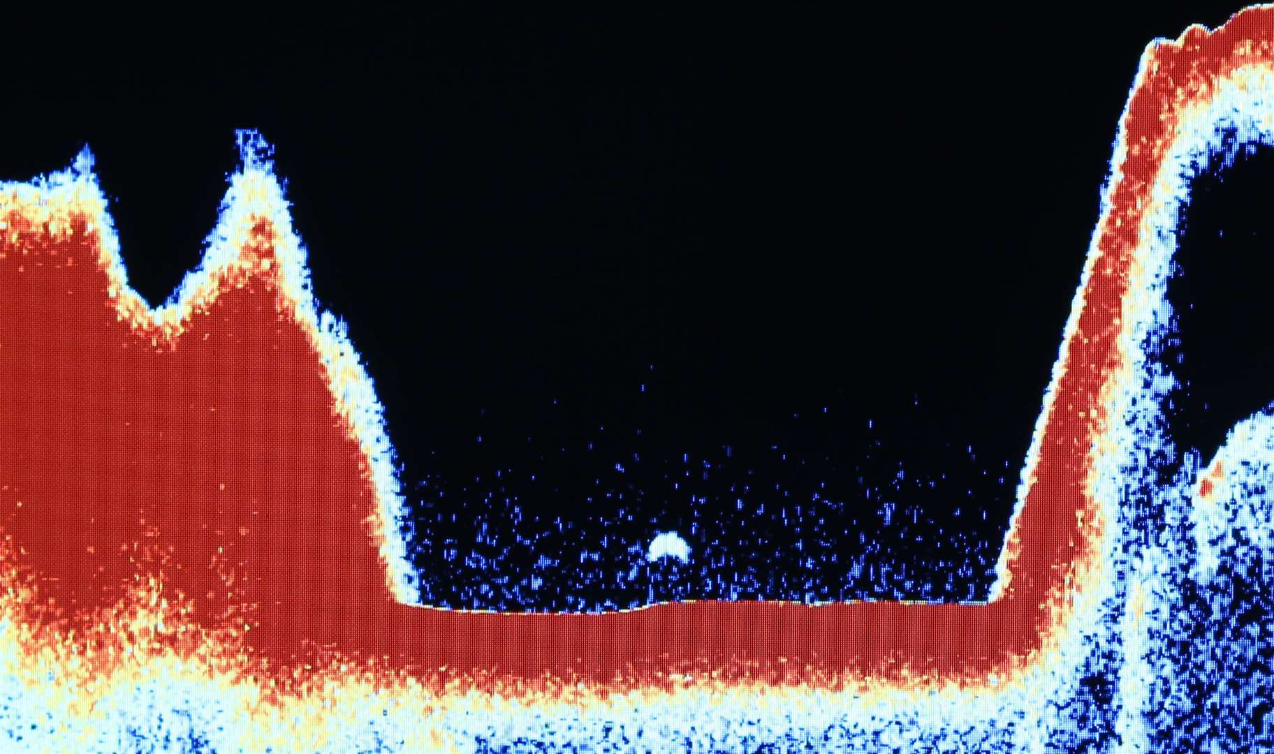 Sonar image taken at Loch Ness by tour boat skipper Ronald Mackenzie. Picture: Peter Jolly